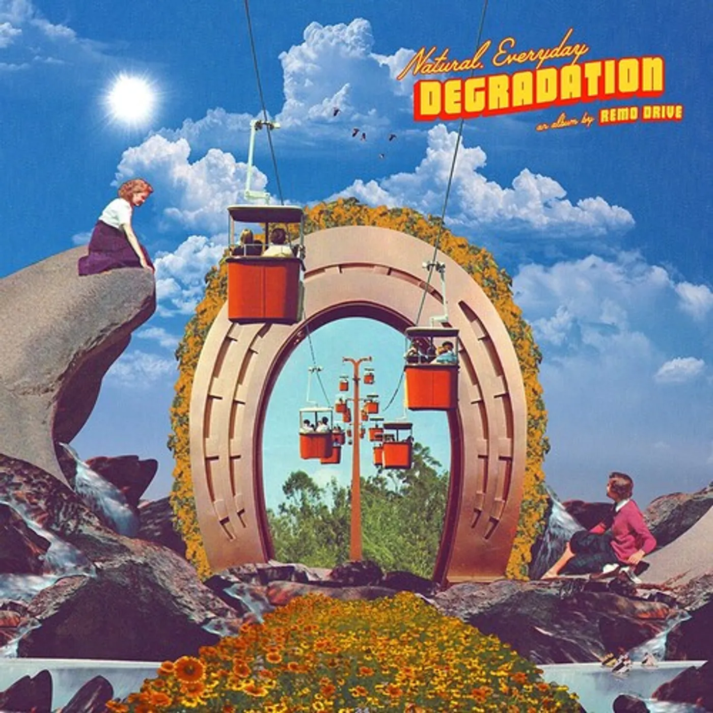 Remo Drive Natural Everyday Degradation (IEX) Vinyl Record