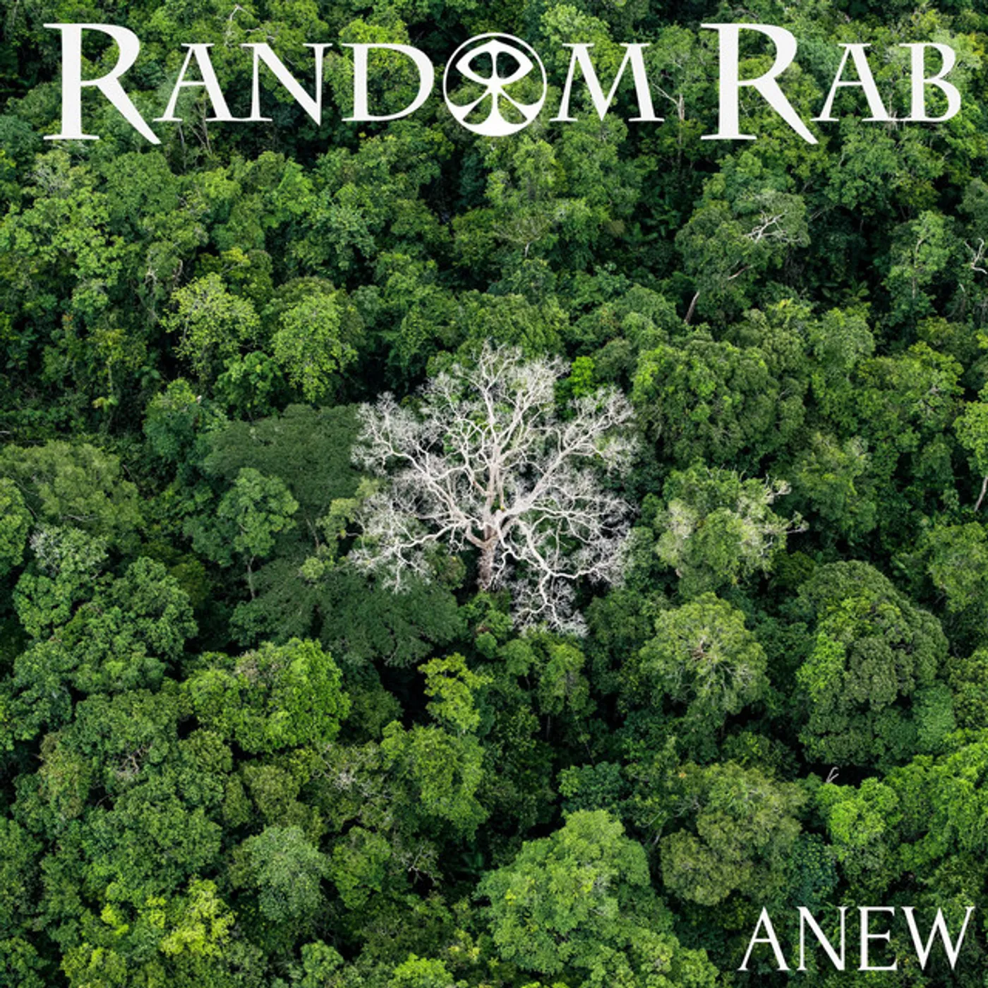 Random Rab ANEW CD