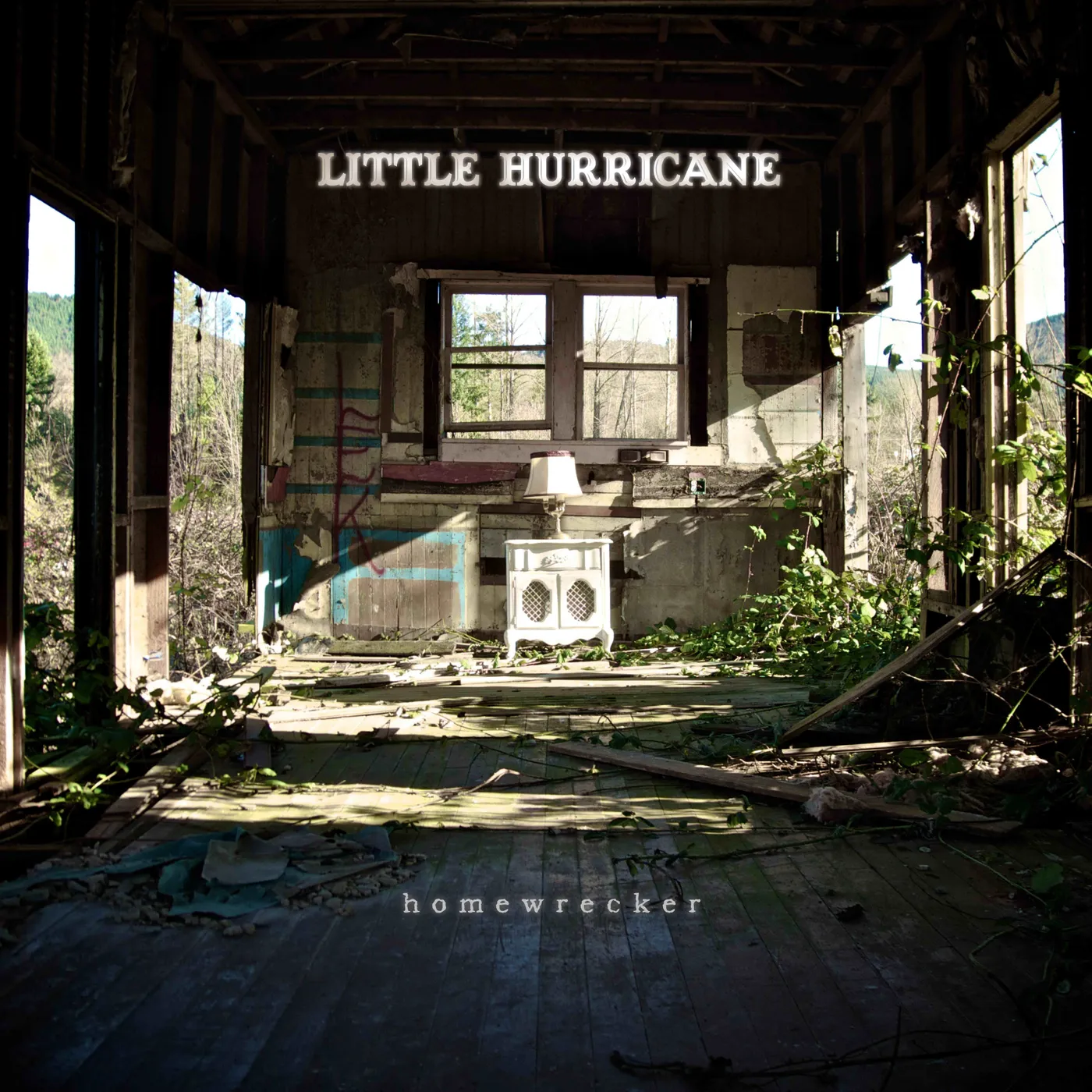 little hurricane Homewrecker Vinyl Record
