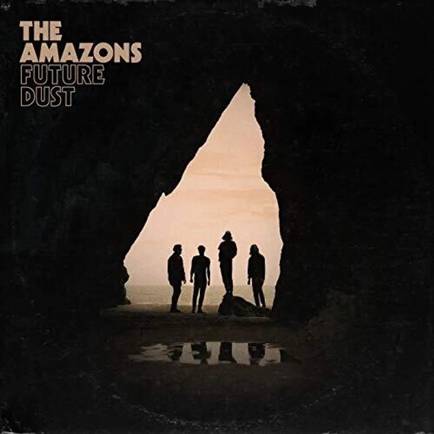 The Amazons Future Dust Vinyl Record