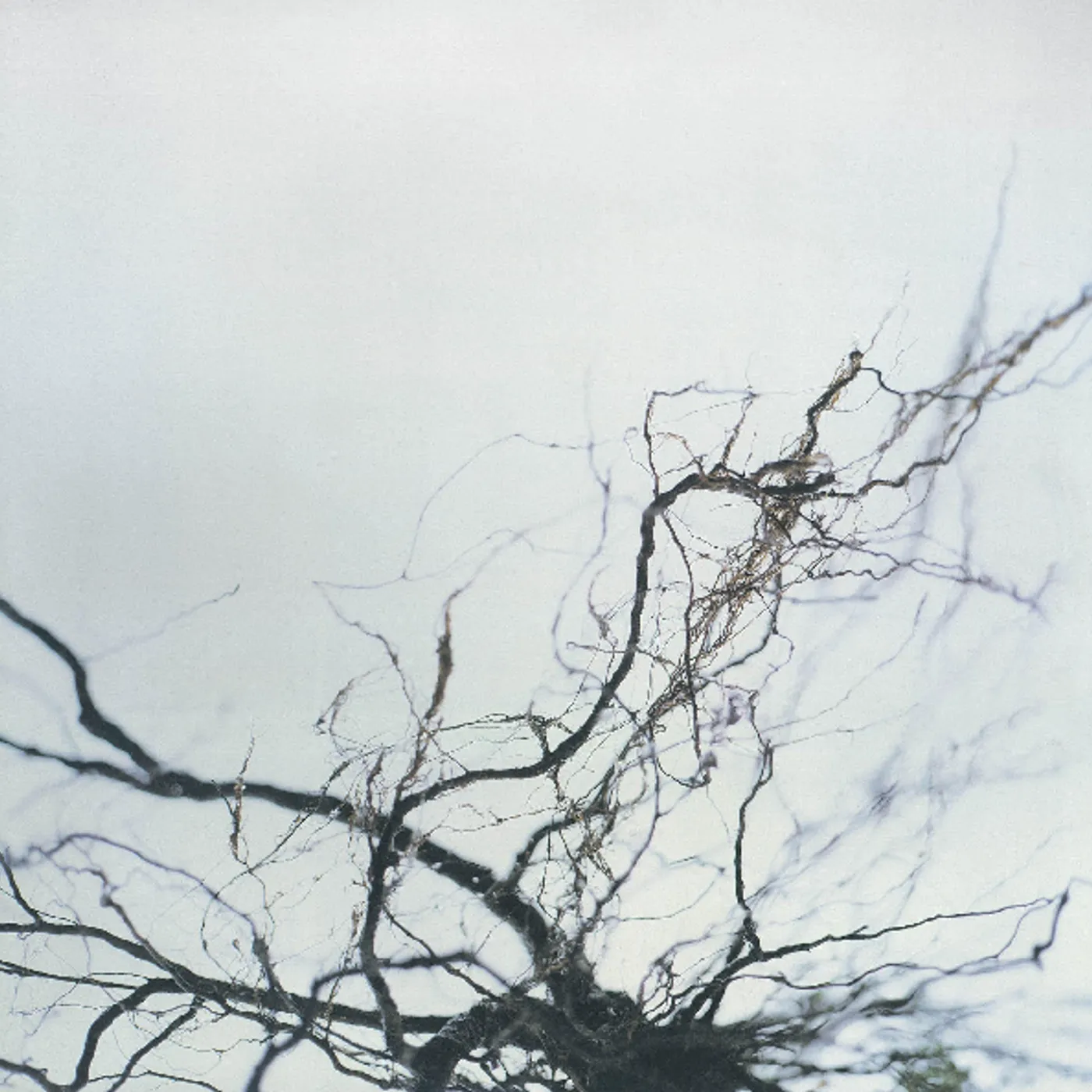 Yutaka Hirose NOVA & 4 CD