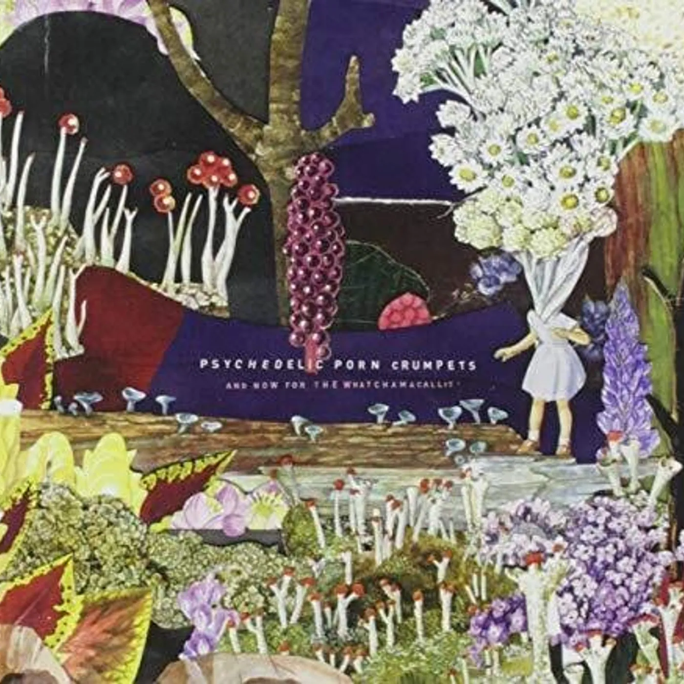 Psychedelic Porn Crumpets & NOW FOR THE WHATCHAMACALLIT CD