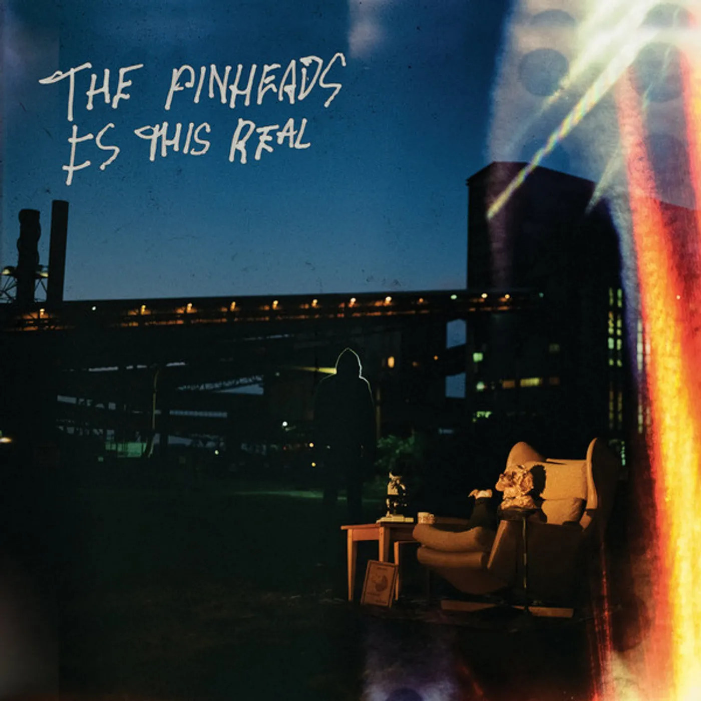 The Pinheads Is This Real Vinyl Record