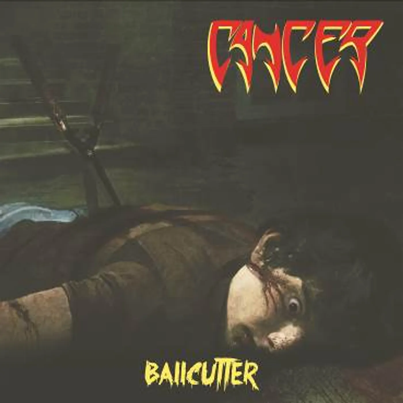 Cancer BALLCUTTER Vinyl Record
