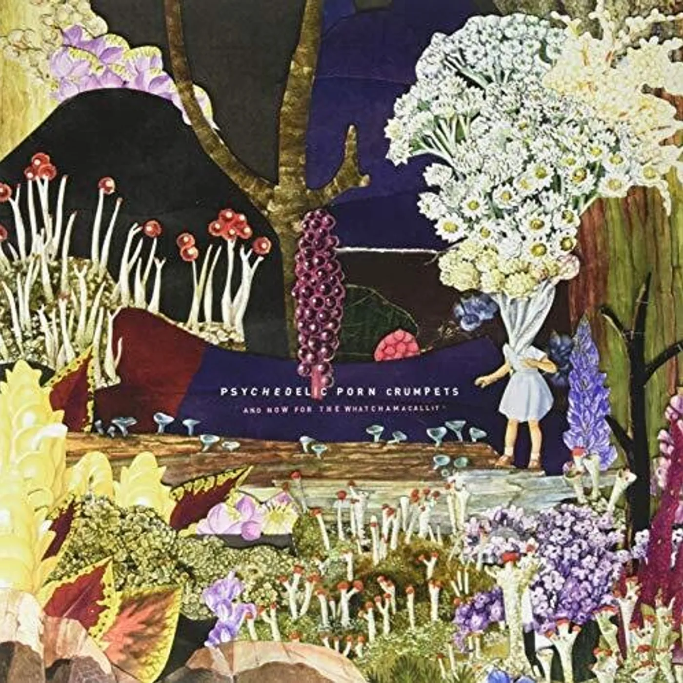 Psychedelic Porn Crumpets And Now For The Whatchamacallit Vinyl Record