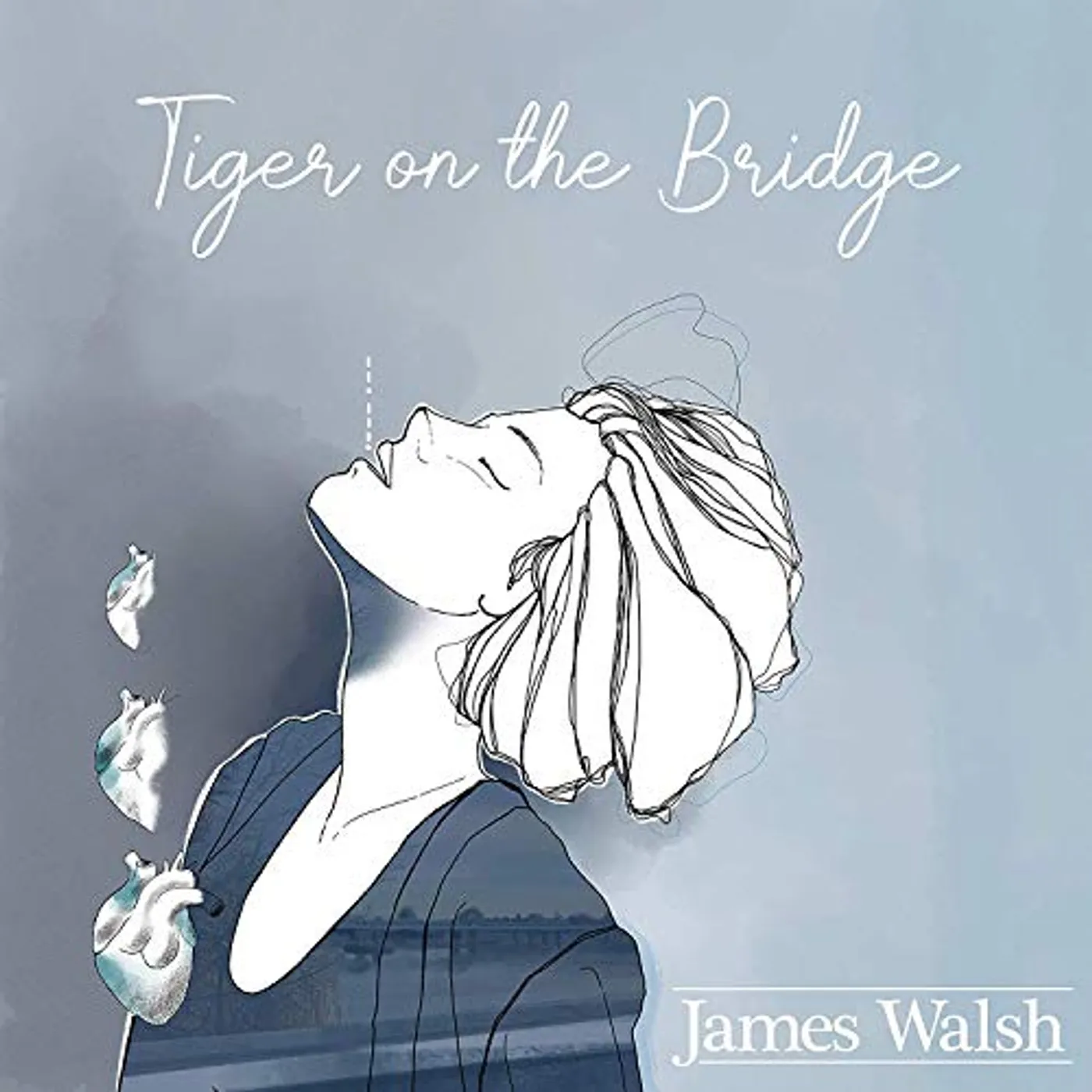 James Walsh TIGER ON THE BRIDGE CD