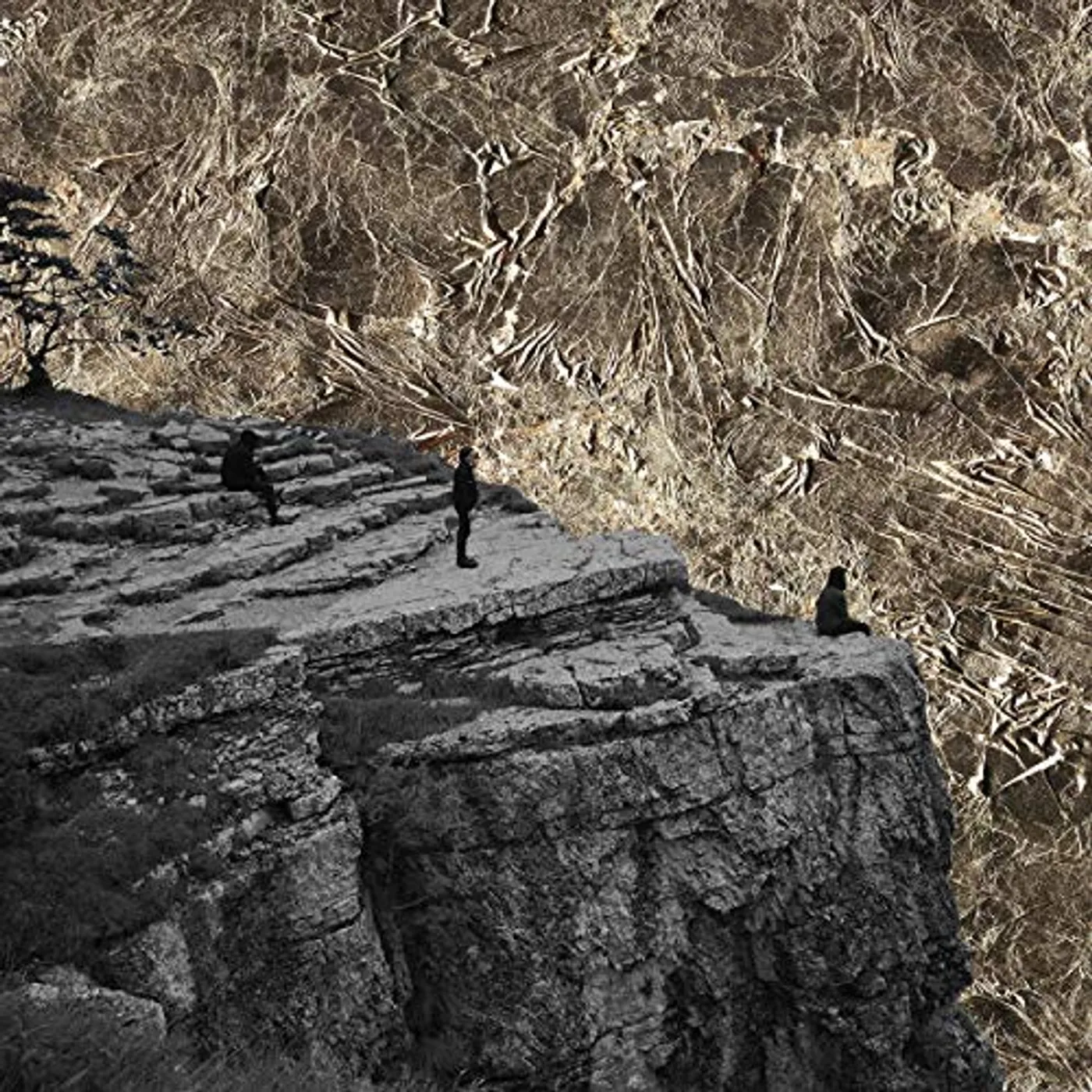 Esben and the Witch Nowhere Vinyl Record