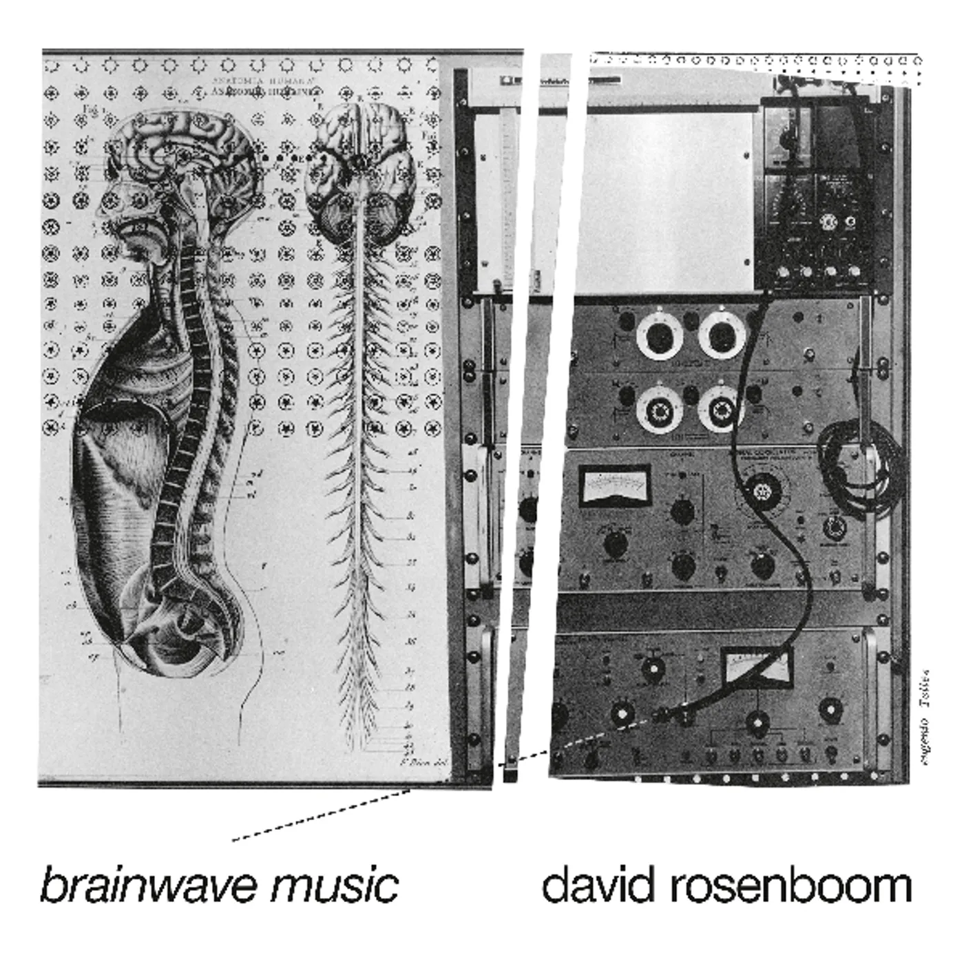 David Rosenboom Brainwave Music Vinyl Record