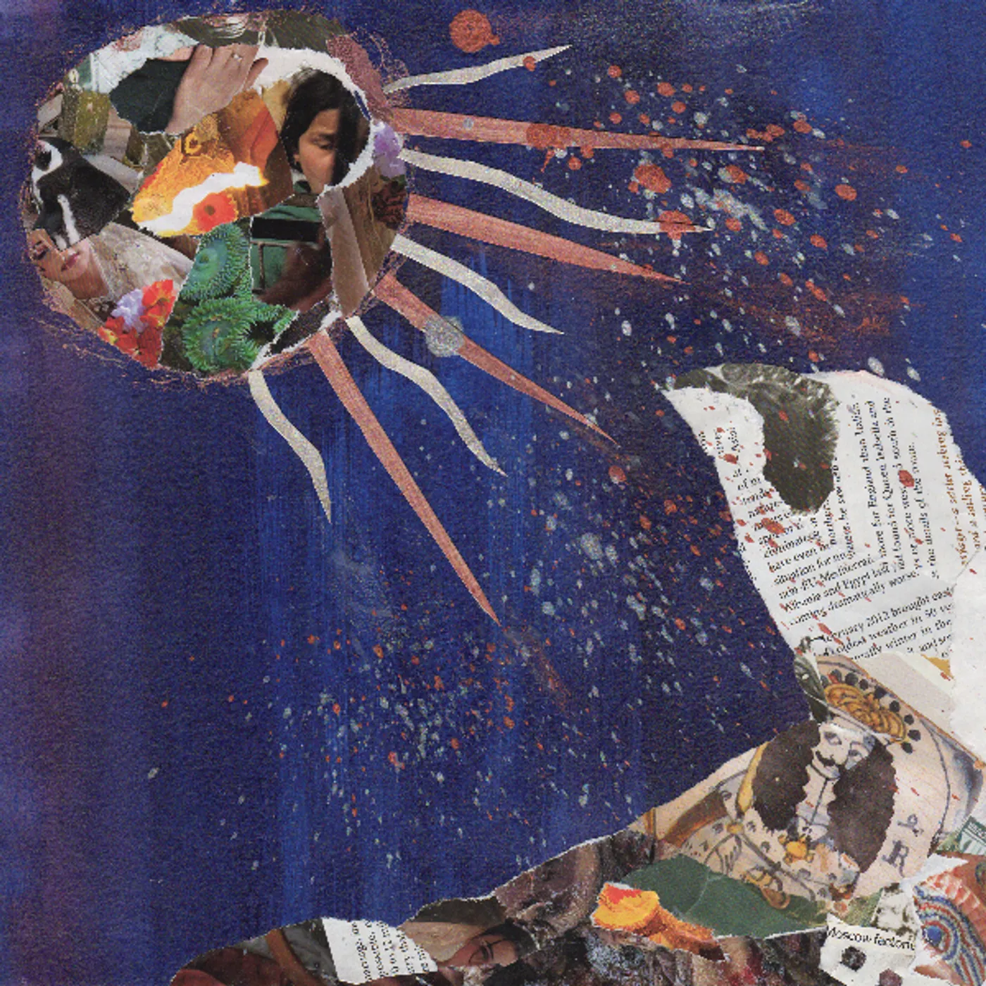 Joseph Allred O Meadowlark Vinyl Record