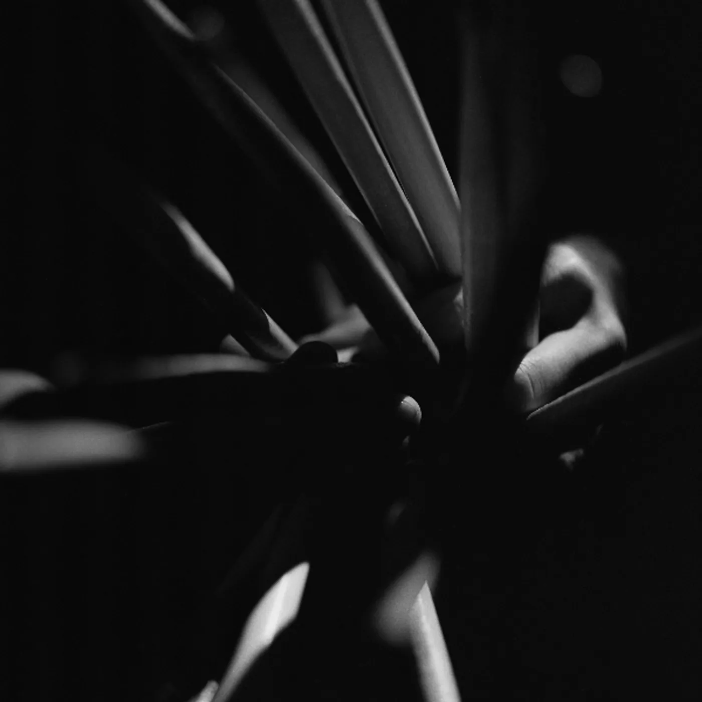 Andrea Belfi Strata Vinyl Record