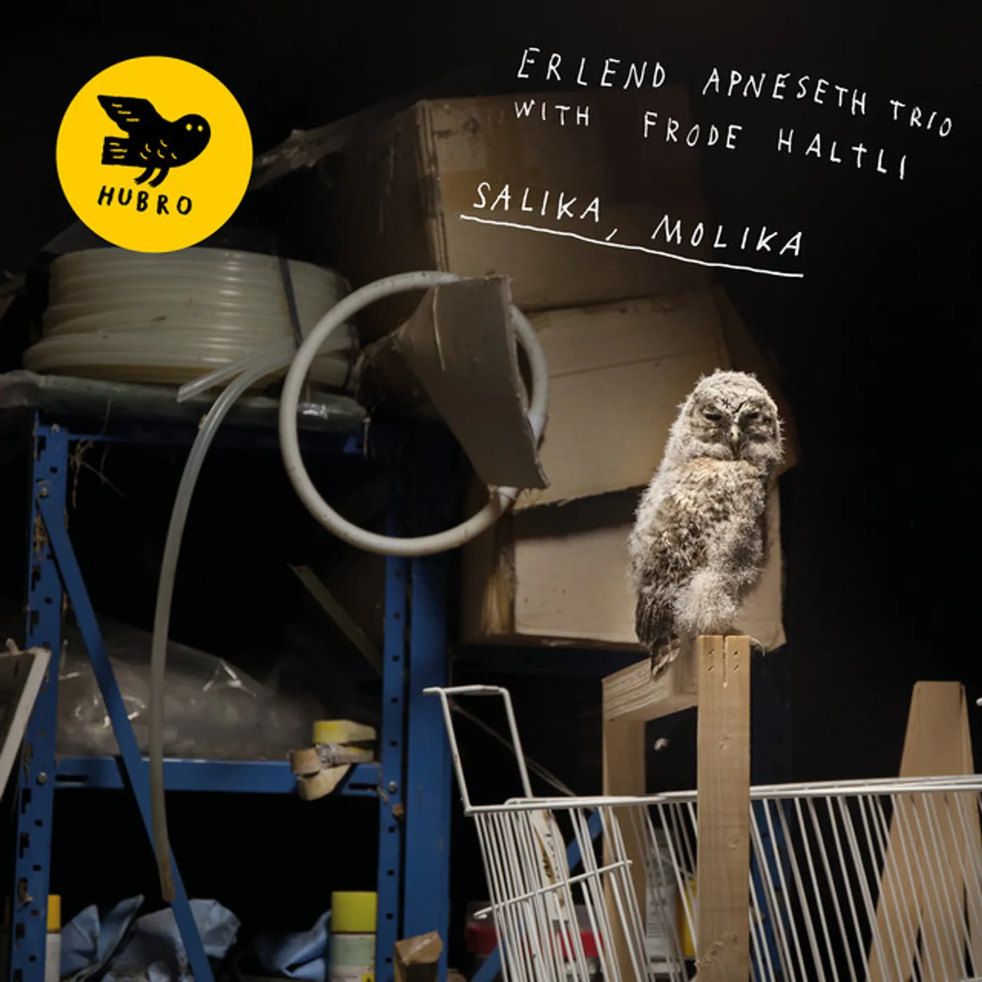 Erlend Trio Apneseth / Frode Haltli SALIKA MOLIKA CD