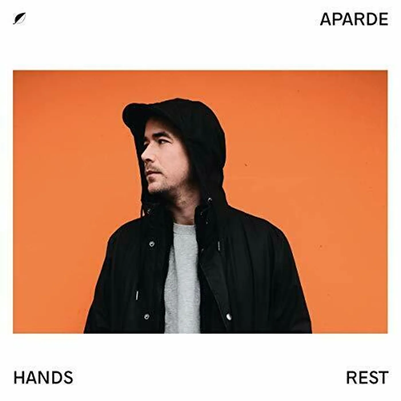 Aparde HANDS REST Vinyl Record
