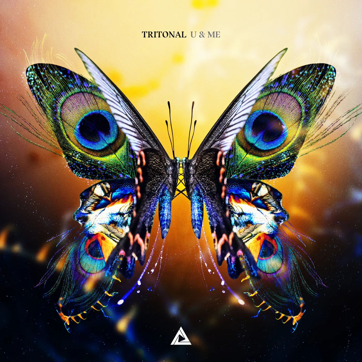 Tritonal U & ME Vinyl Record