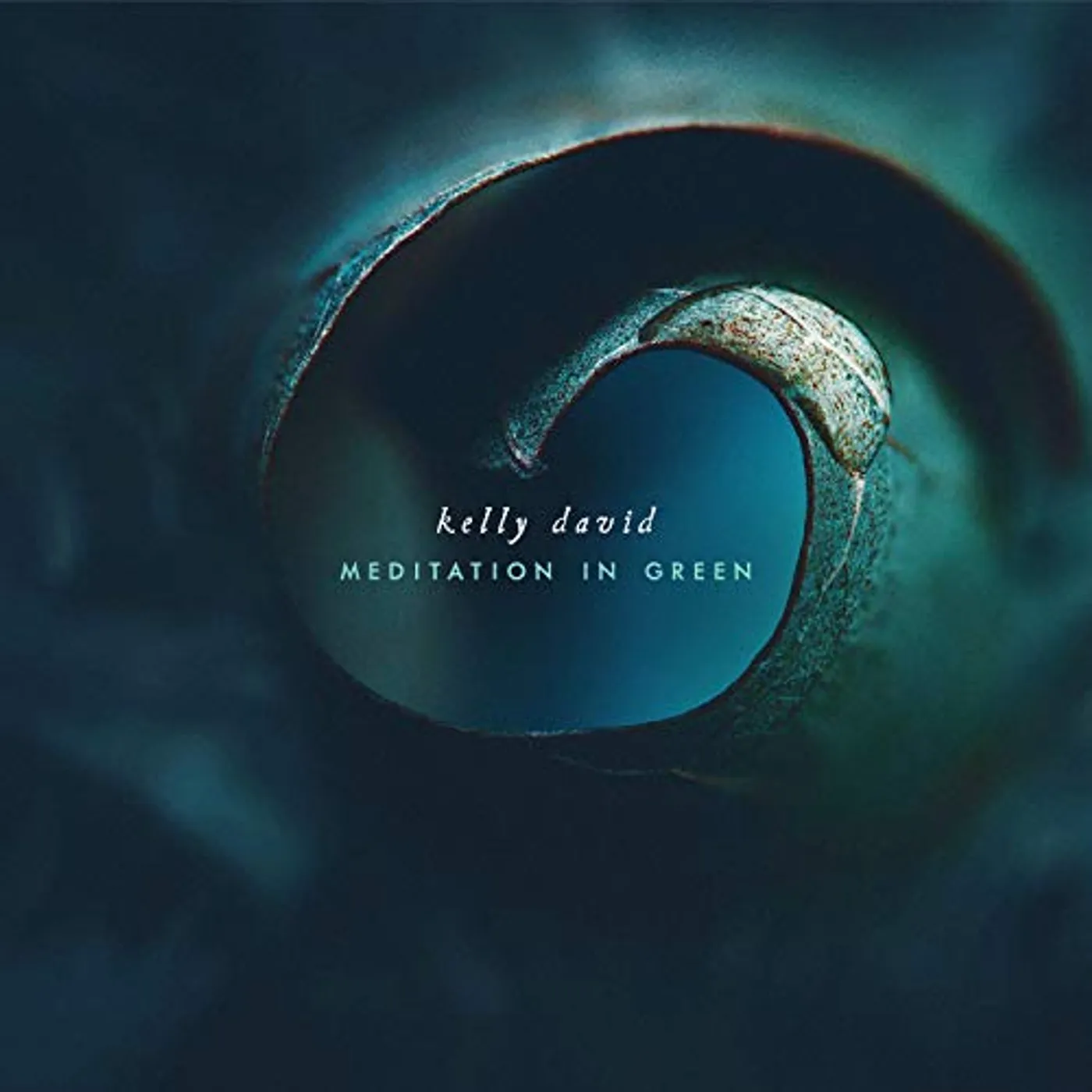 Kelly David MEDITATION IN GREEN CD