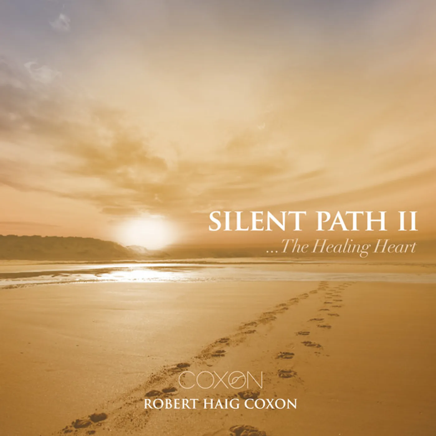 Robert Haig Coxon SILENT PATH II: THE HEALING HEART CD