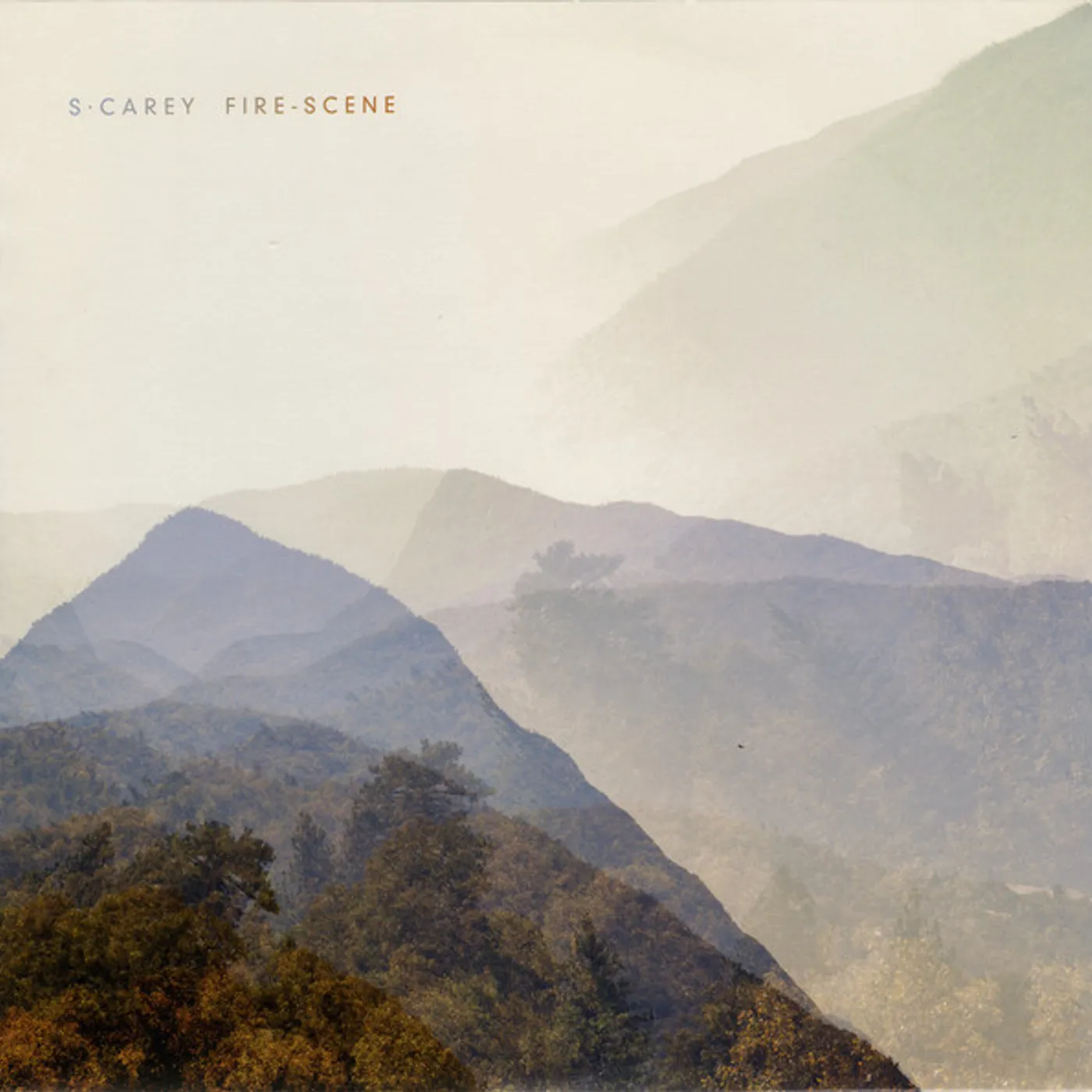 S. Carey FIRE-SCENE / CHRYSALIS Vinyl Record