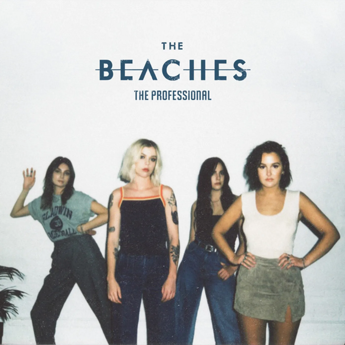 Beaches PROFESSIONAL CD