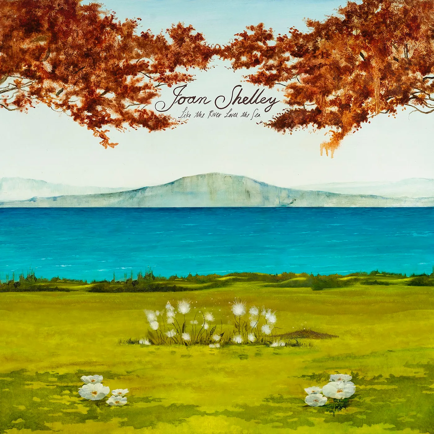 Joan Shelley LIKE THE RIVER LOVES THE SEA CD