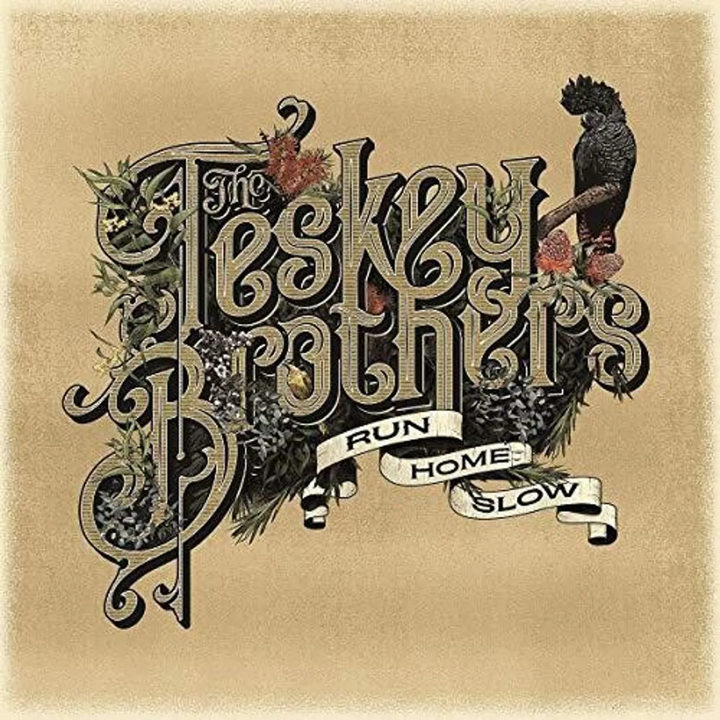 The Teskey Brothers Run Home Slow Vinyl Record