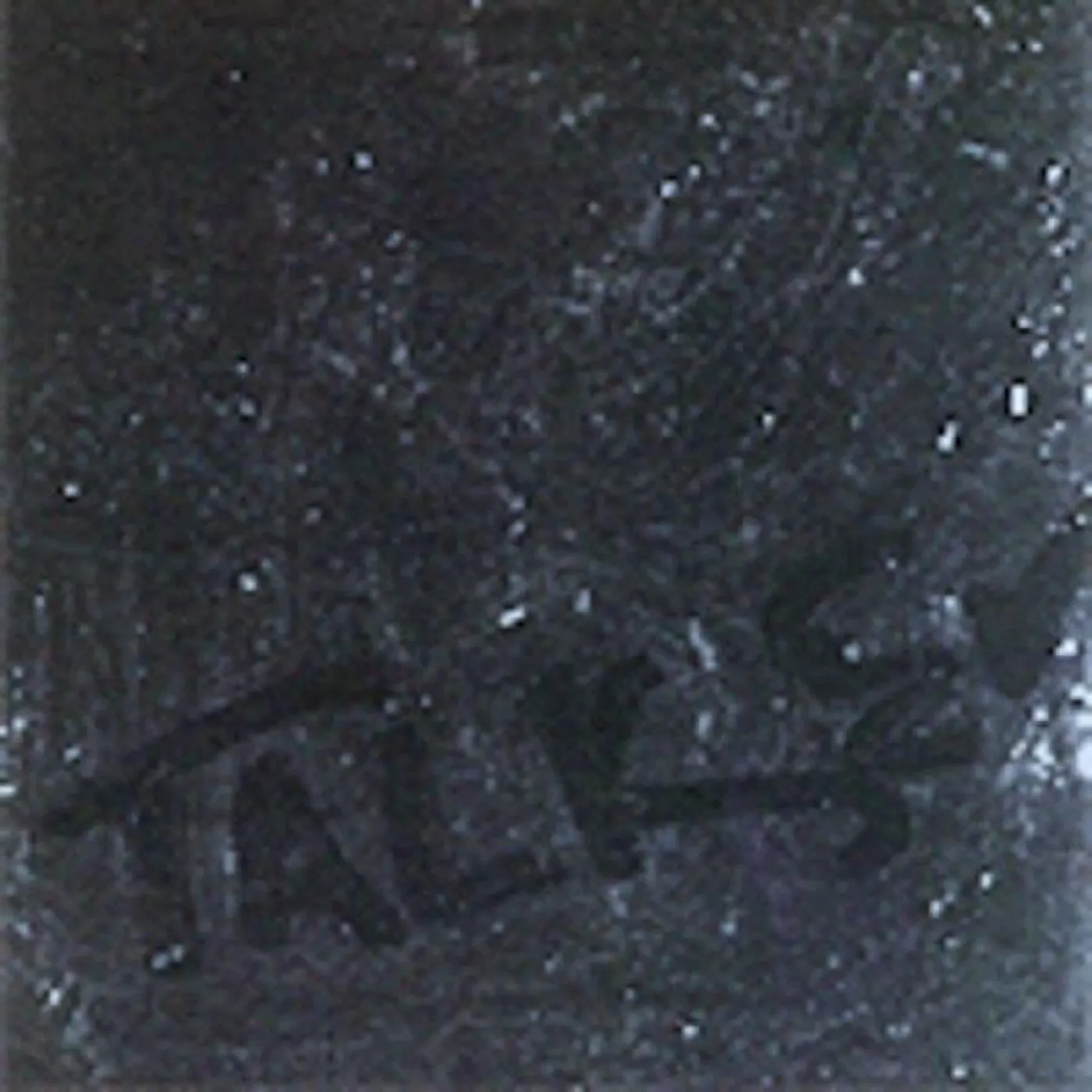 U.S. Maple Talker Vinyl Record