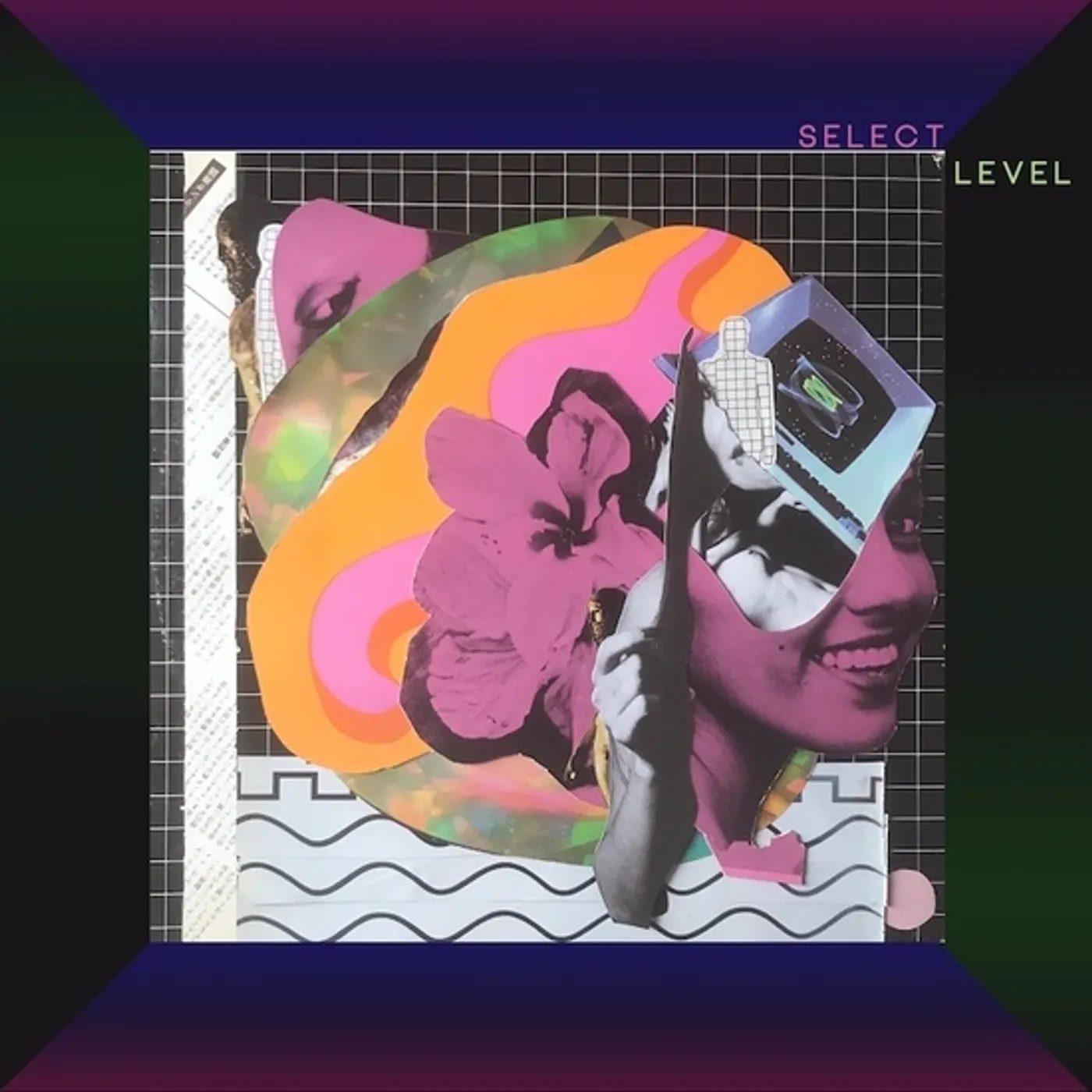 Select Level Vinyl Record