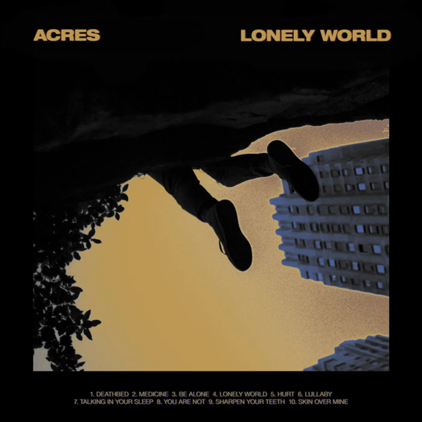 Acres LONELY WORLD CD