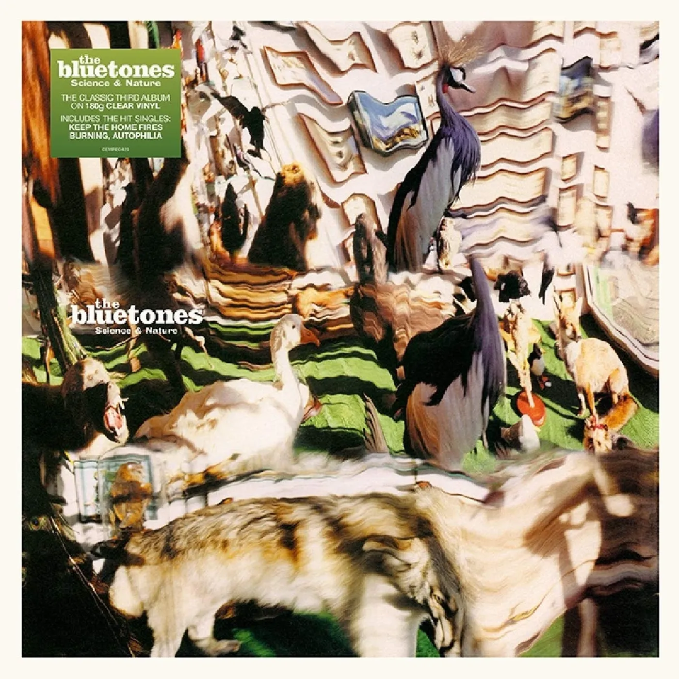 The Bluetones Science & Nature Vinyl Record