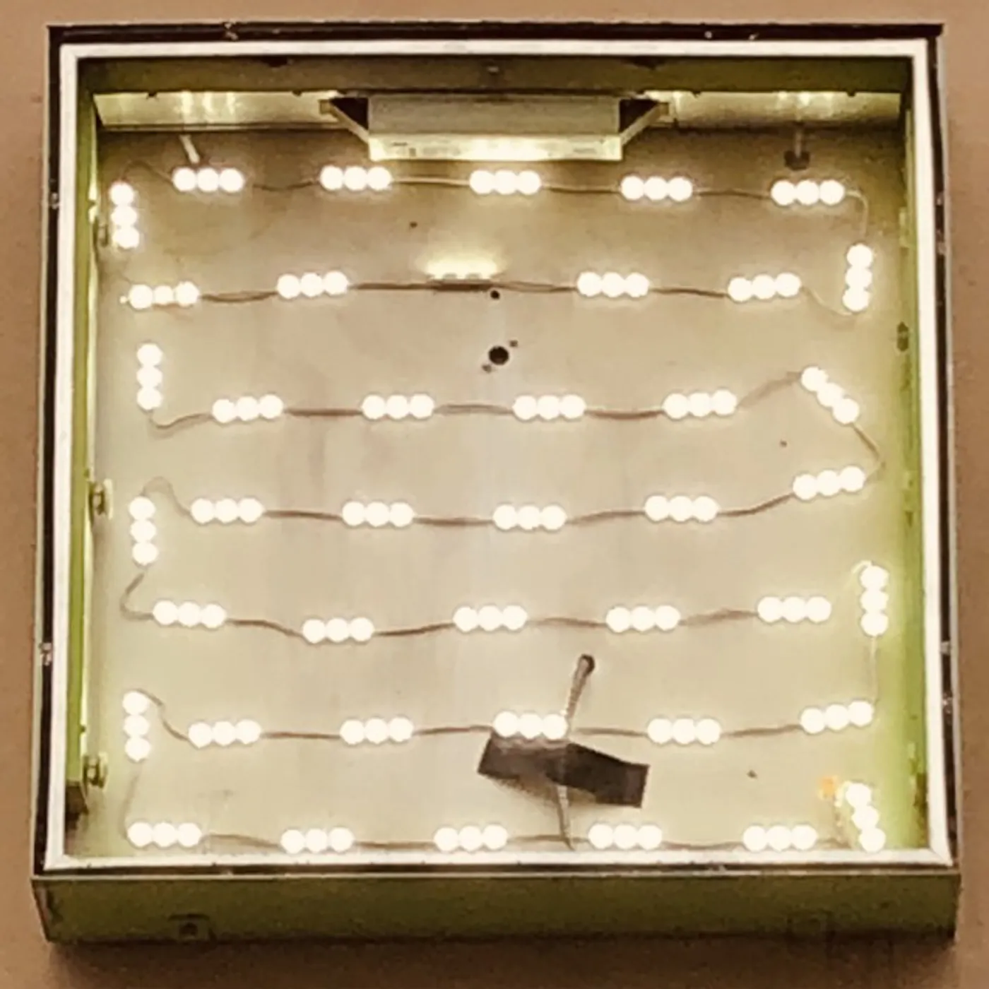 Oso Oso basking in the glow Vinyl Record