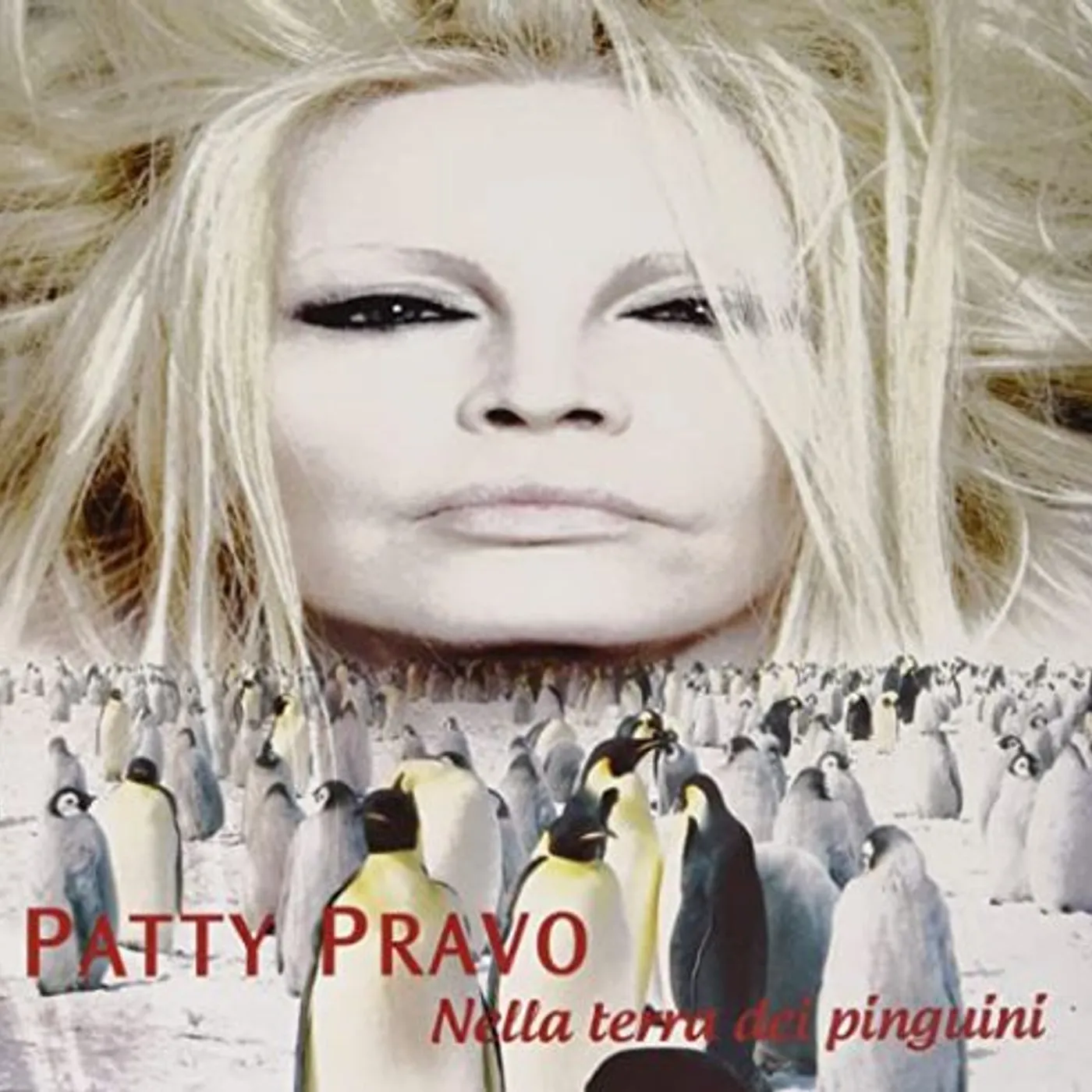 Patty Pravo Nella terra dei pinguini Vinyl Record