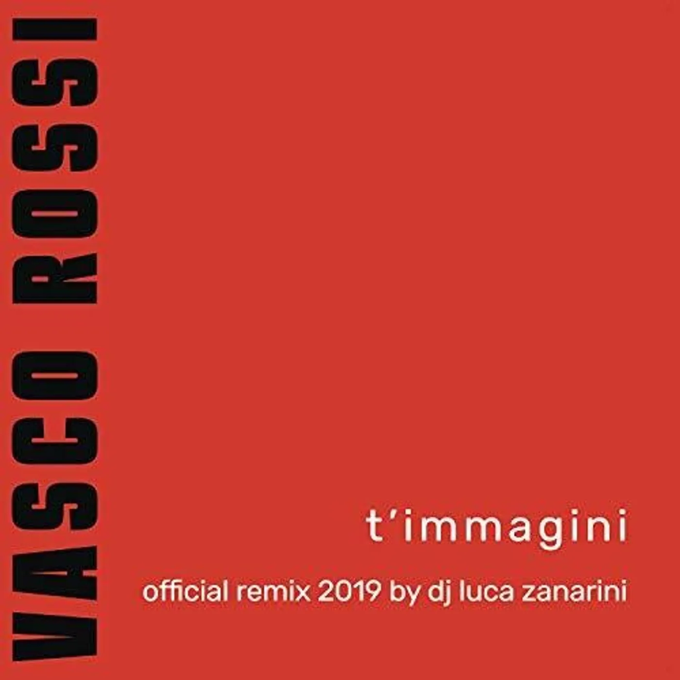 Vasco Rossi T'IMMAGINI REMIX Vinyl Record