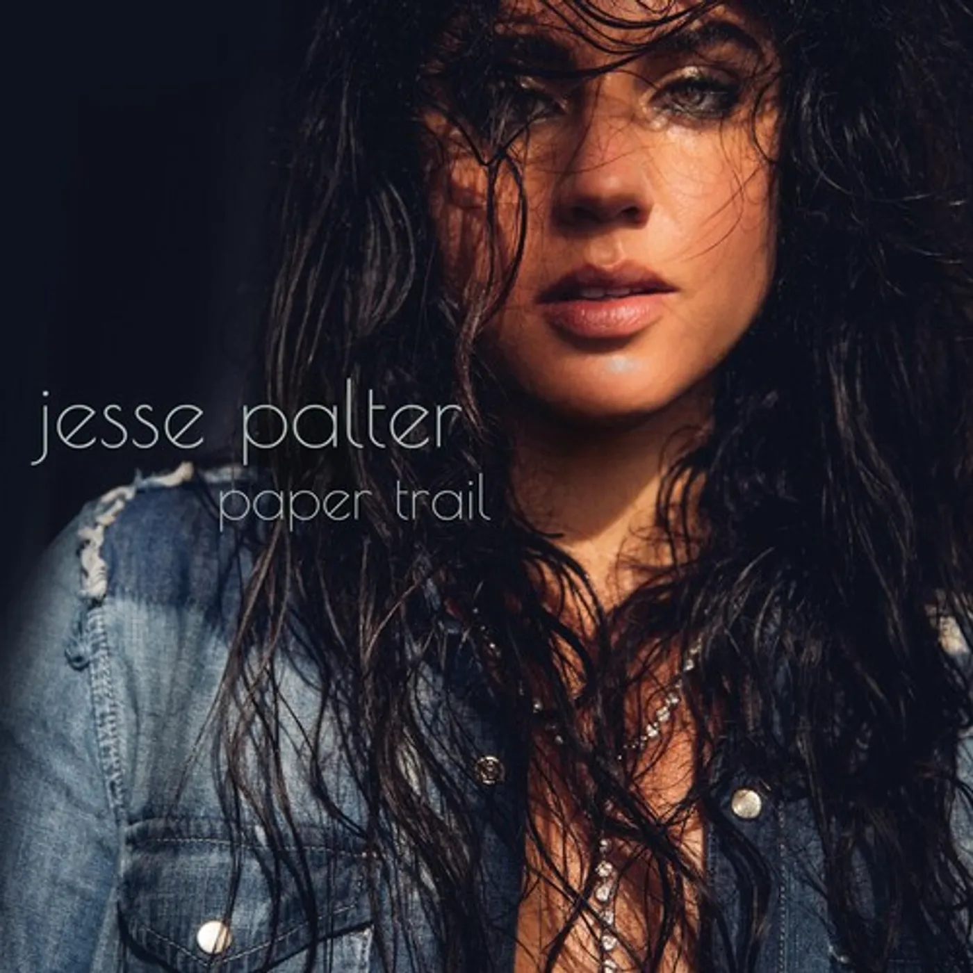 Jesse Palter PAPER TRAIL CD