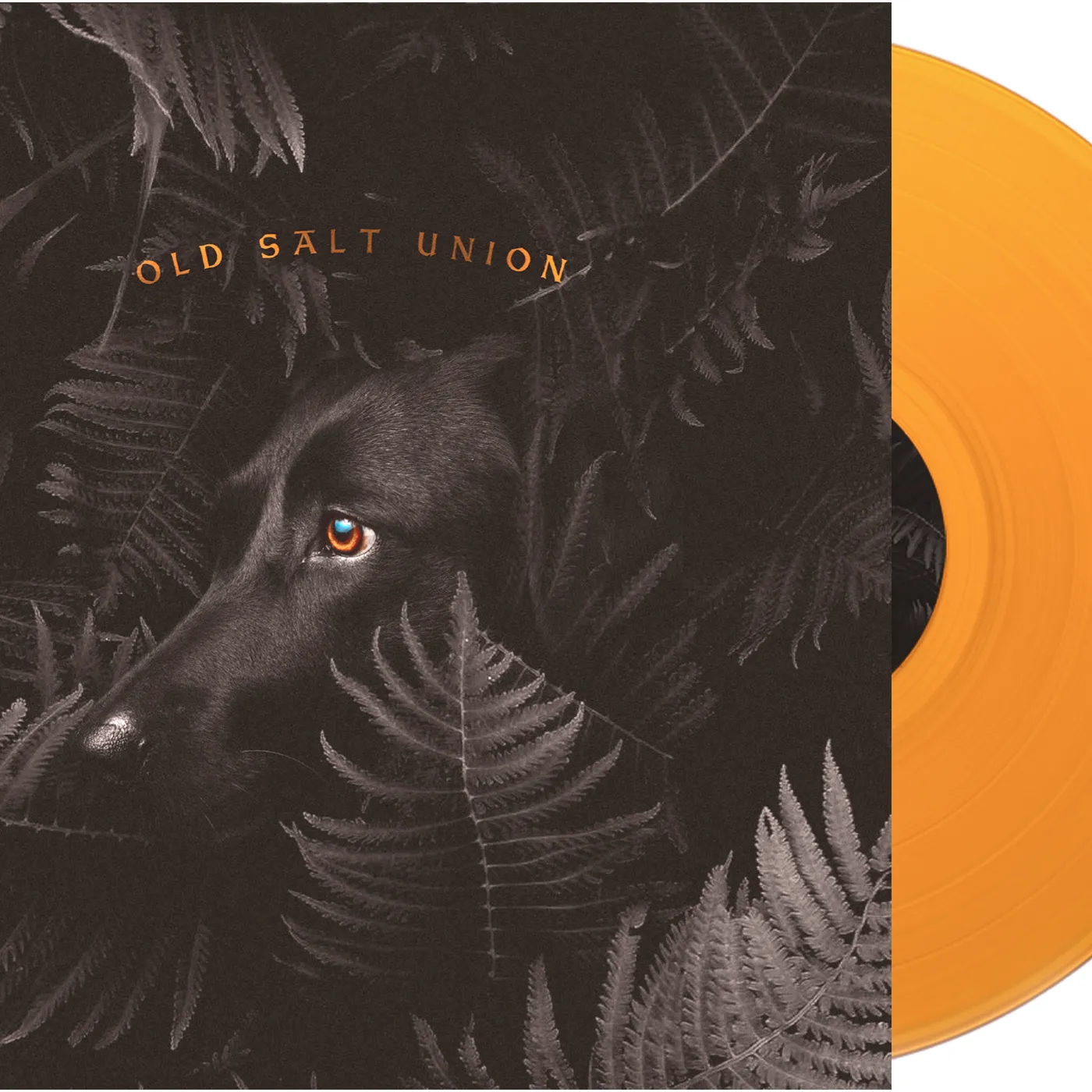 Old Salt Union Where the Dogs Don't Bite Vinyl Record