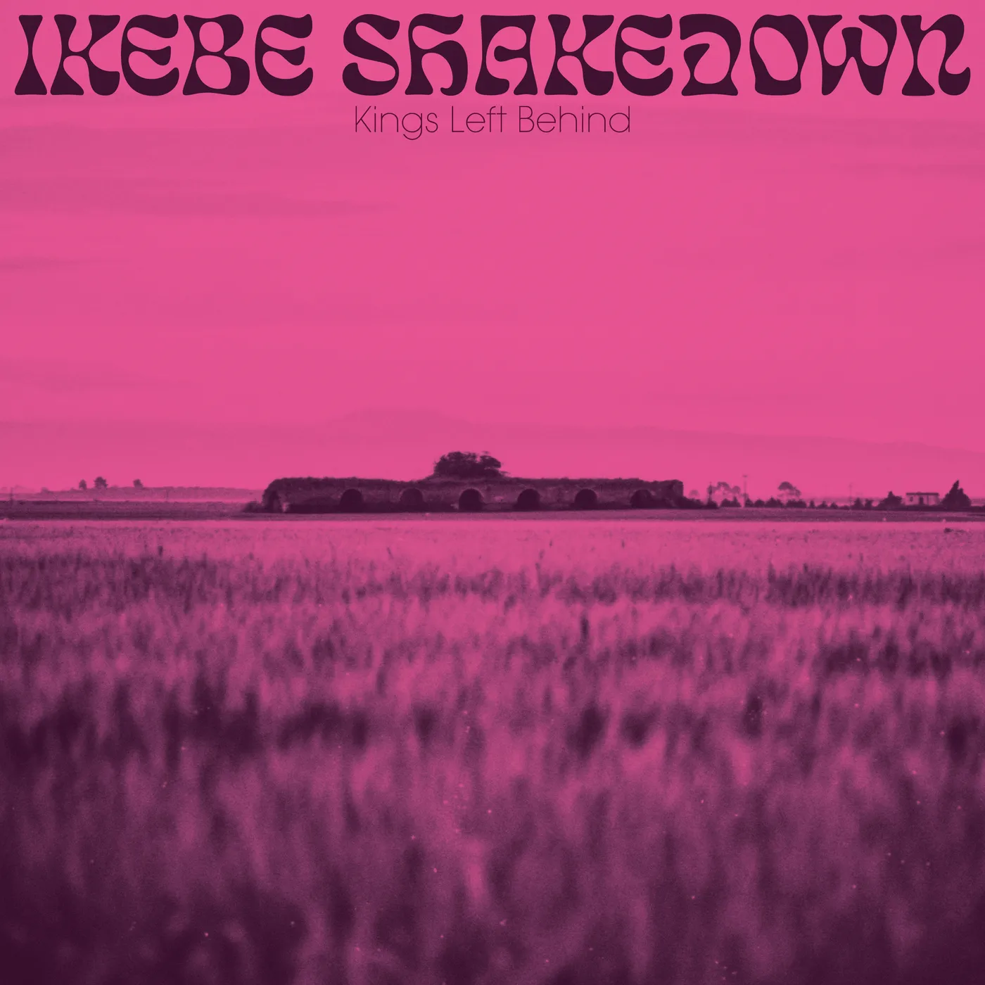 Ikebe Shakedown Kings Left Behind Vinyl Record