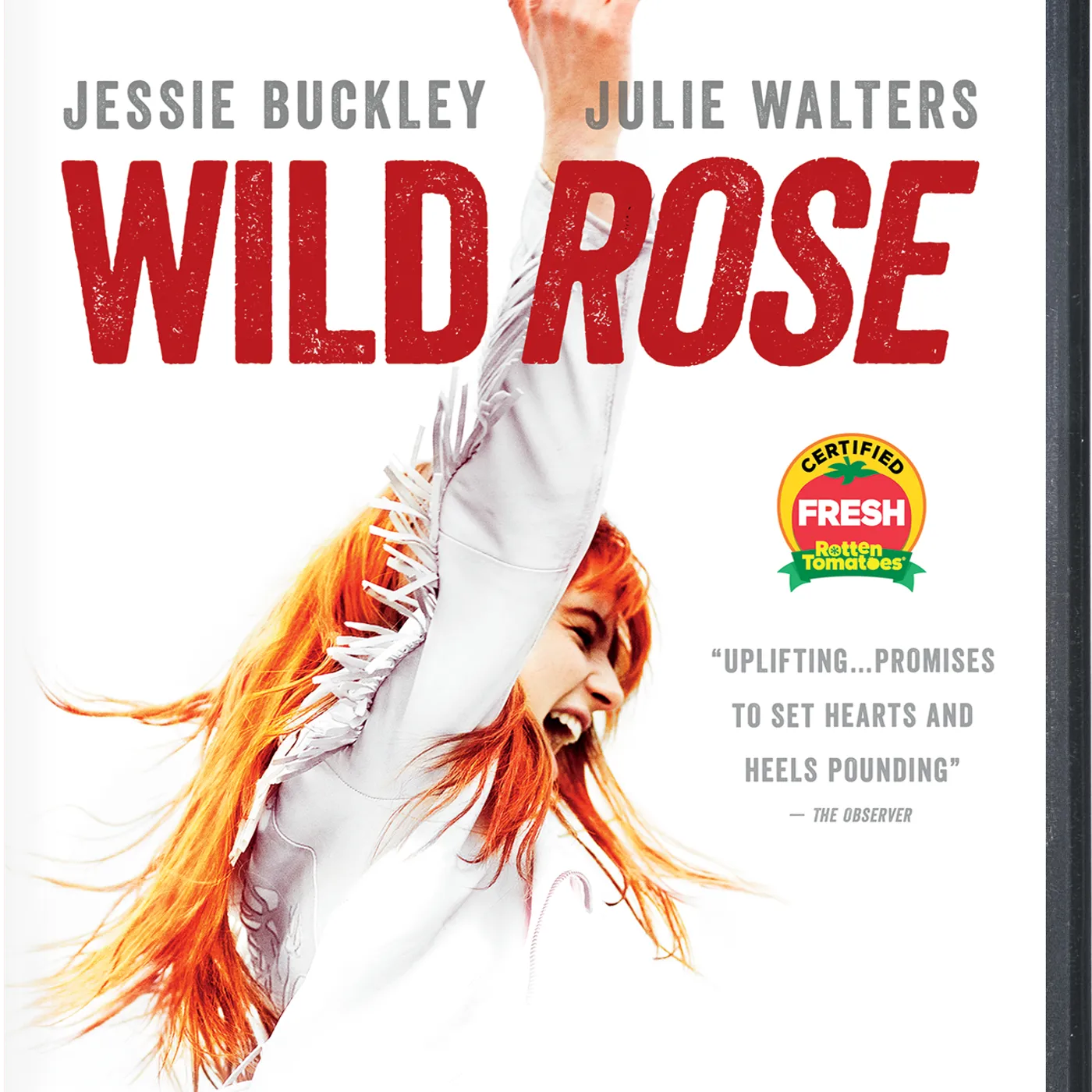 Wild Rose DVD