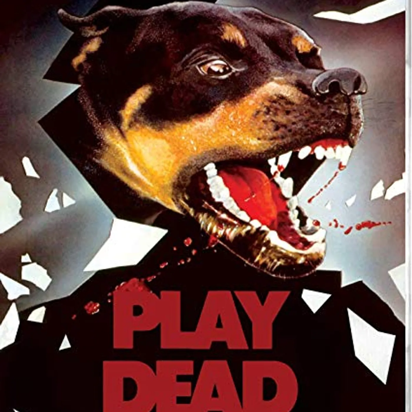 PLAY DEAD Blu-ray