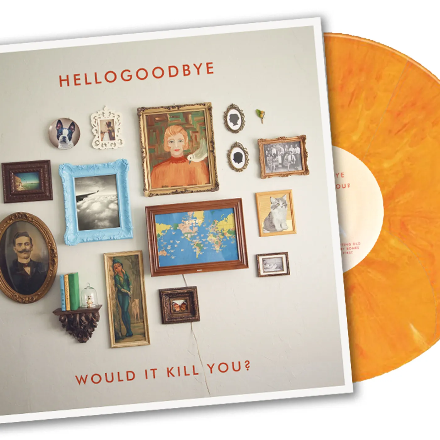 Hellogoodbye Would It Kill You? Vinyl Record