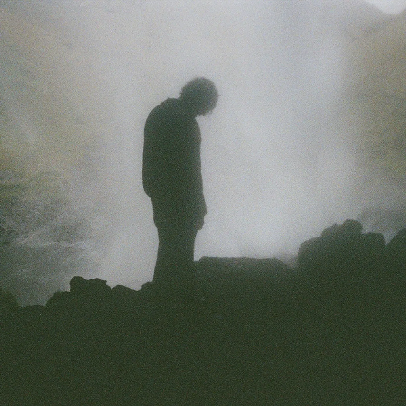 Palmistry Afterlife Vinyl Record