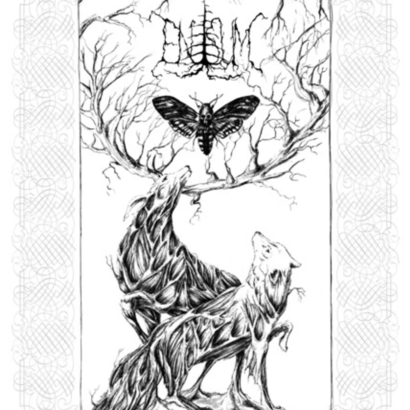 Enisum Moth's Illusion Vinyl Record