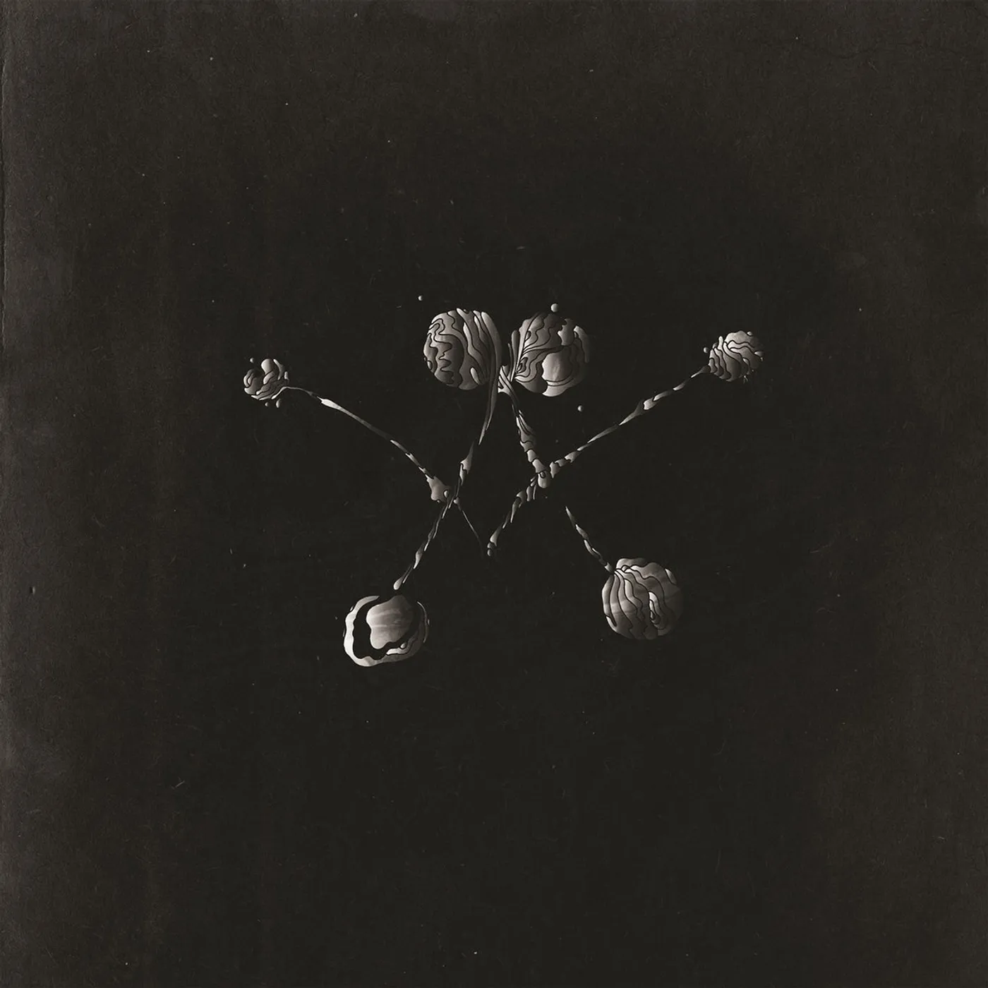 Waterstrider NOWHERE NOW CD