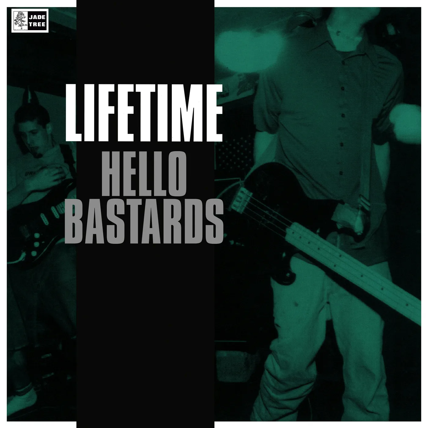 Lifetime Hello Bastards Vinyl Record