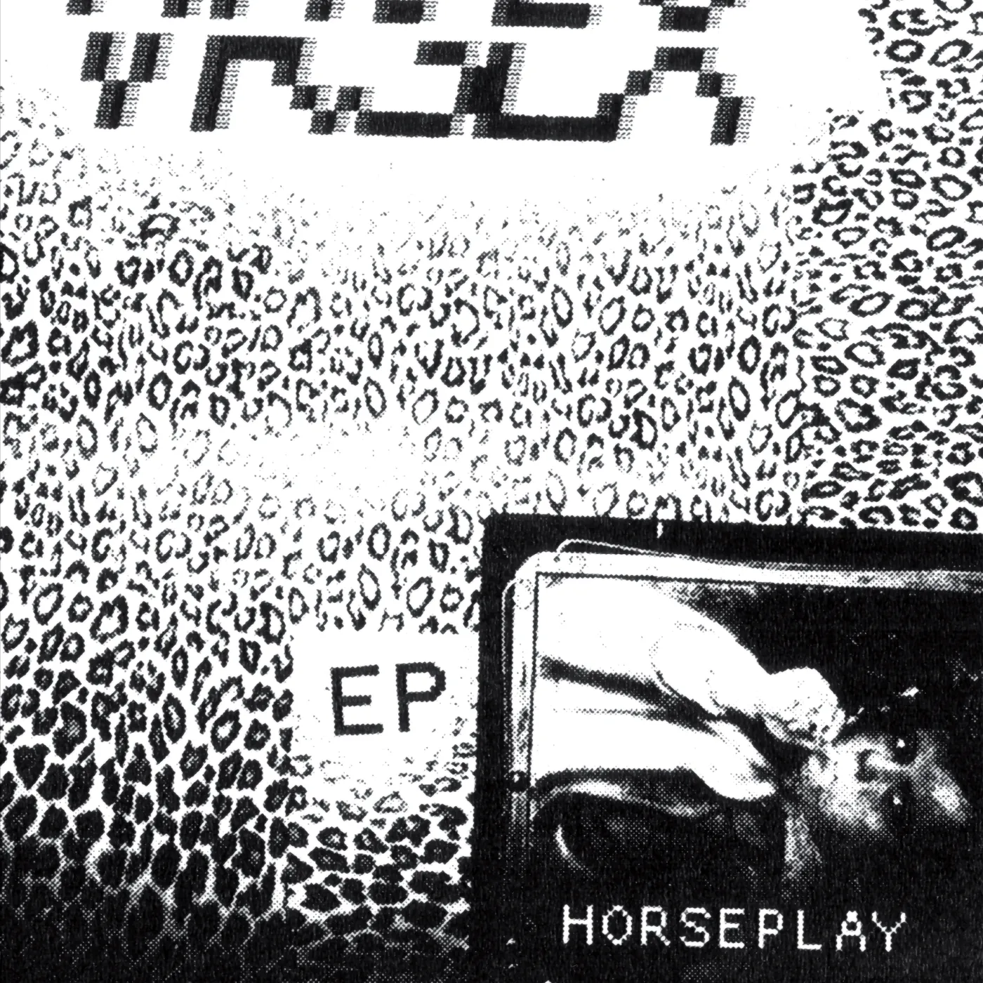 VR SEX Horseplay Vinyl Record