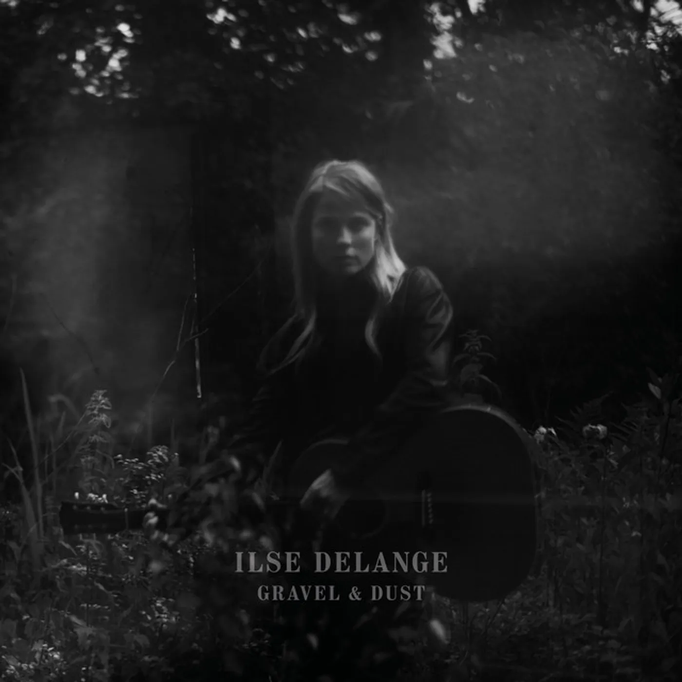 Ilse DeLange Gravel & Dust Vinyl Record