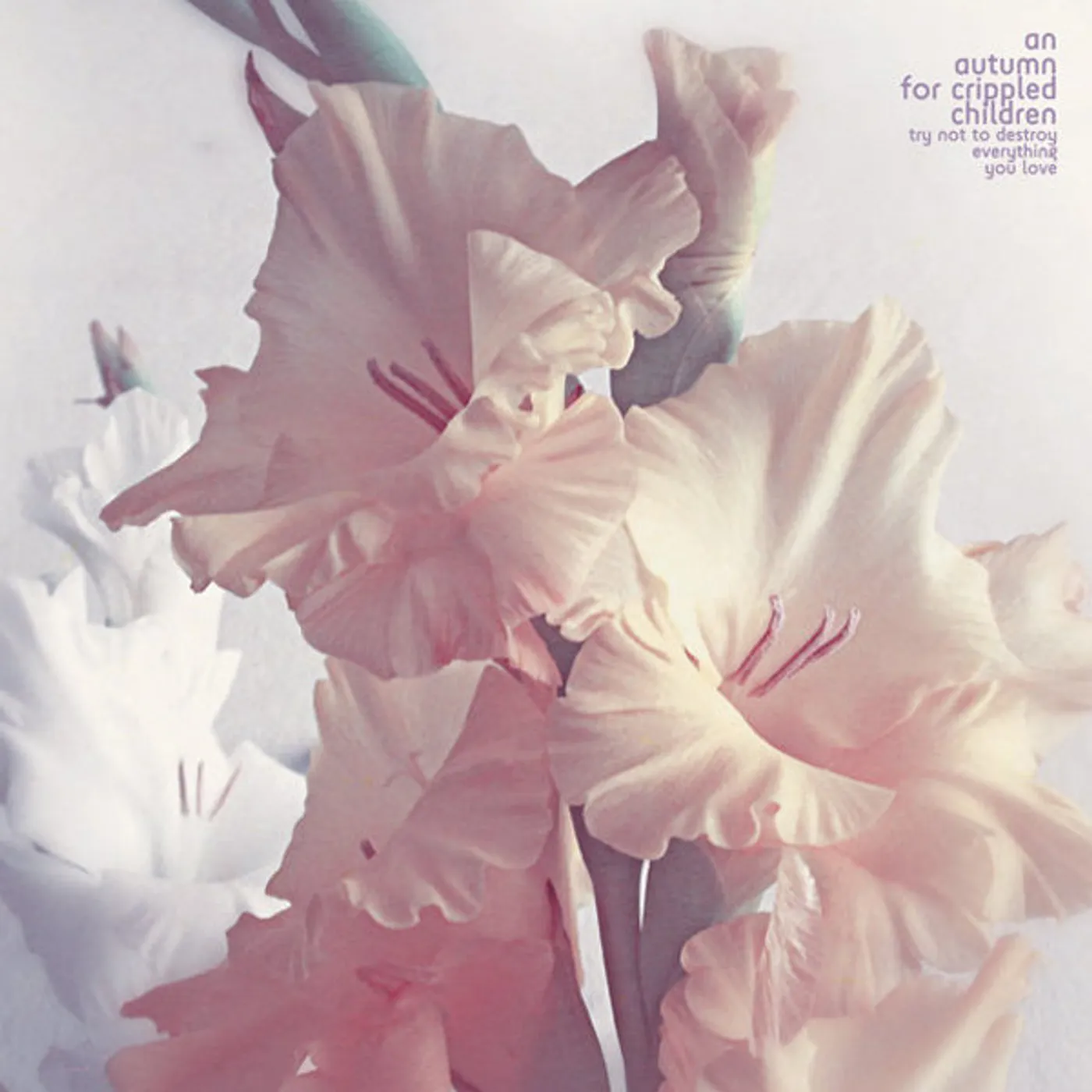 An Autumn for Crippled Children Try Not to Destroy Everything you Love Vinyl Record