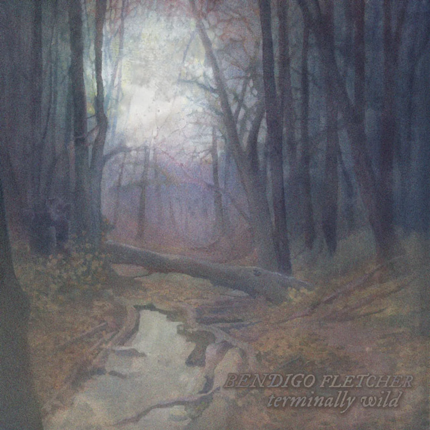 Bendigo Fletcher TERMINALLY WILD / SLEEPING PAD Vinyl Record