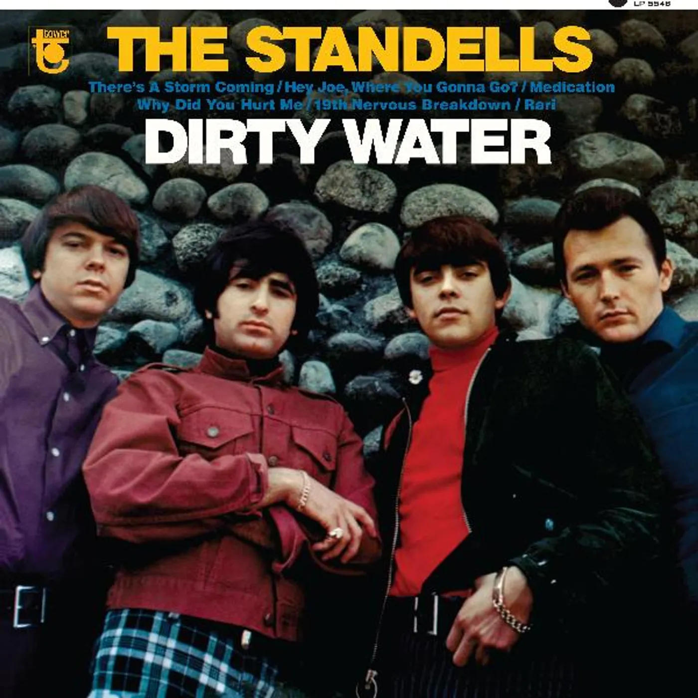 The Standells DIRTY WATER Vinyl Record
