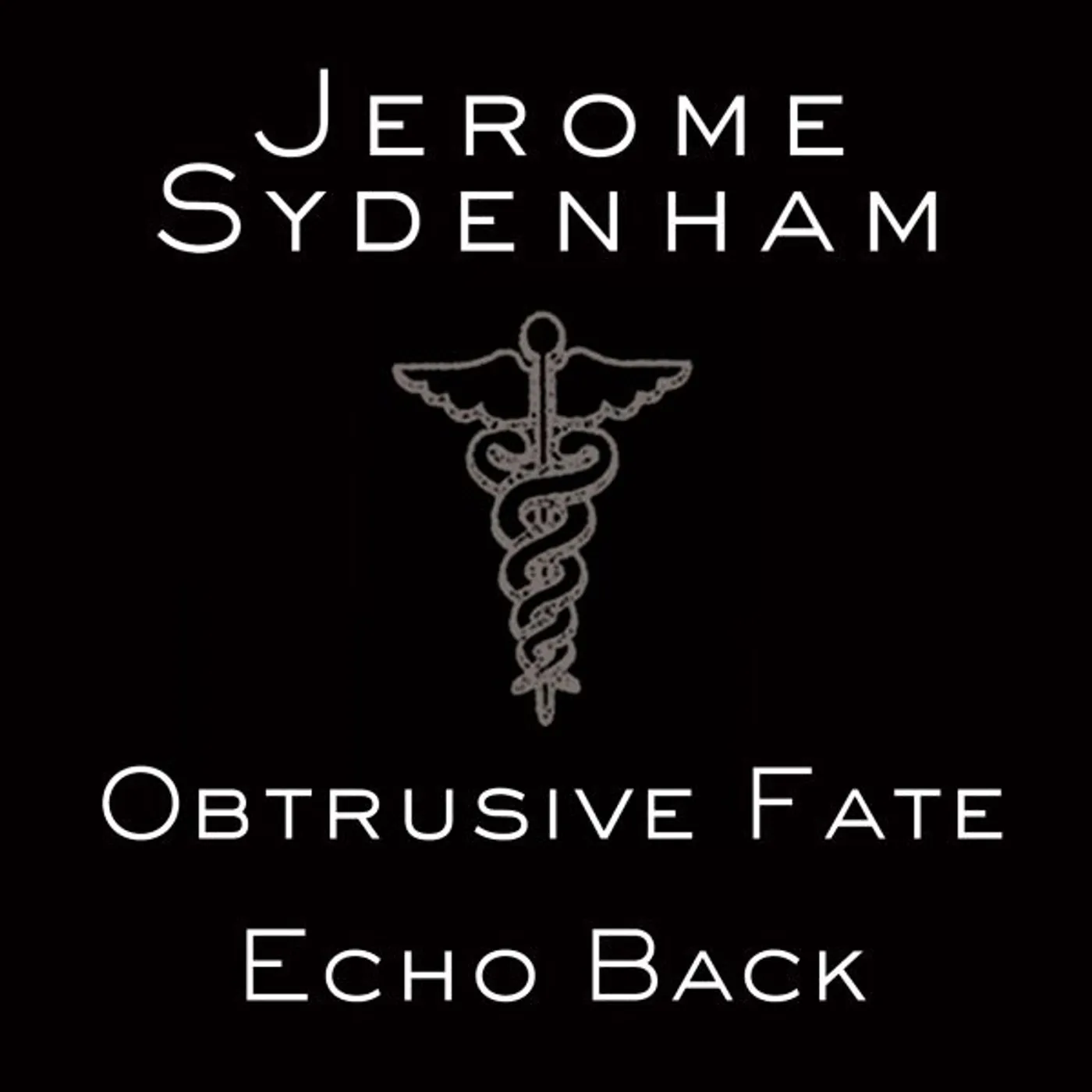 Jerome Sydenham ECHO BACK Vinyl Record