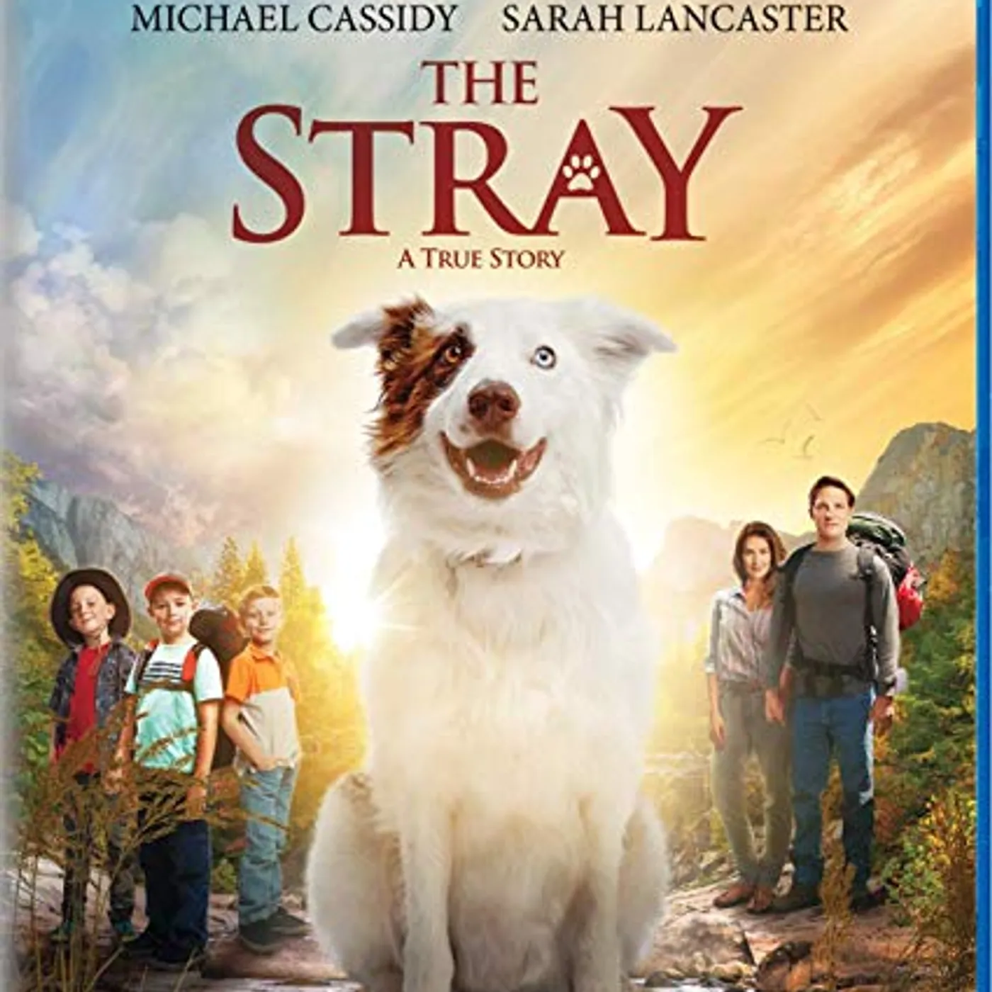Stray Blu-ray