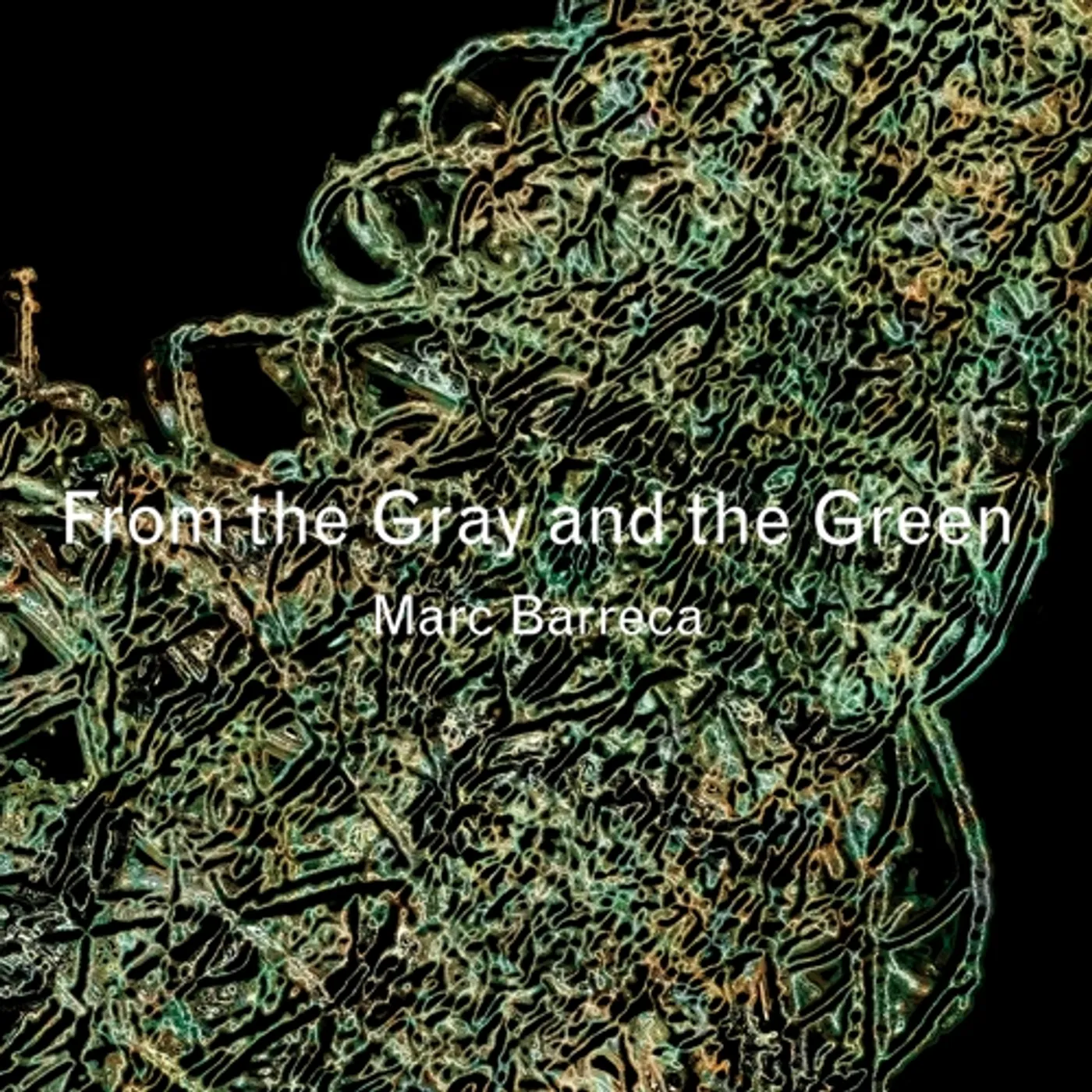 Marc Barreca FROM THE GRAY & THE GREEN CD