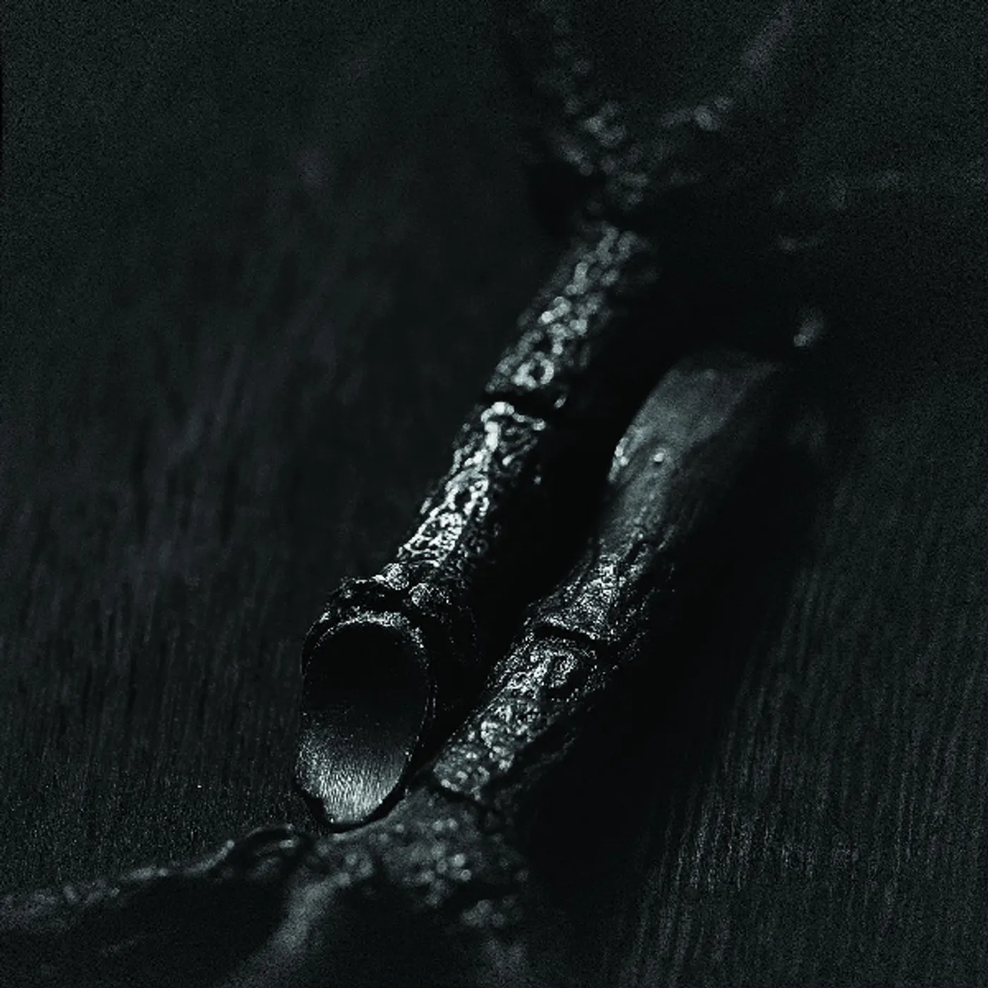 Trepaneringsritualen ALGIR ELLER ALGIR I MERKSTAVE Vinyl Record