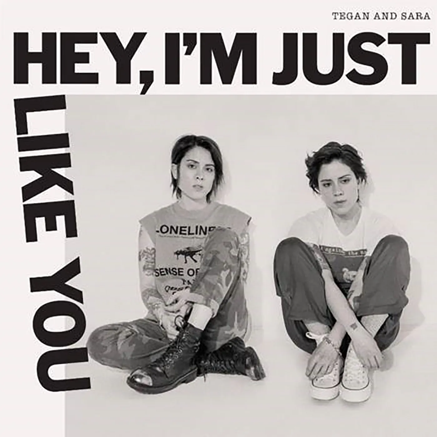 Tegan and Sara Hey, I'm Just Like You Vinyl Record